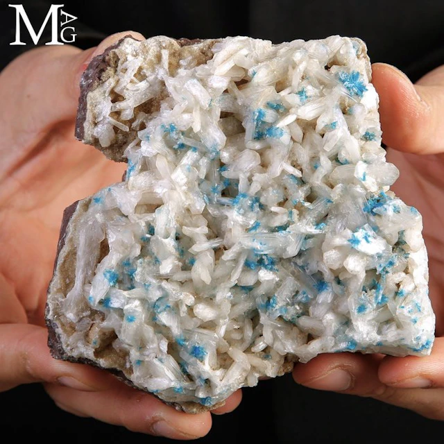 Cavansite – Electric Blue Crystal Rosettes on Stilbite...