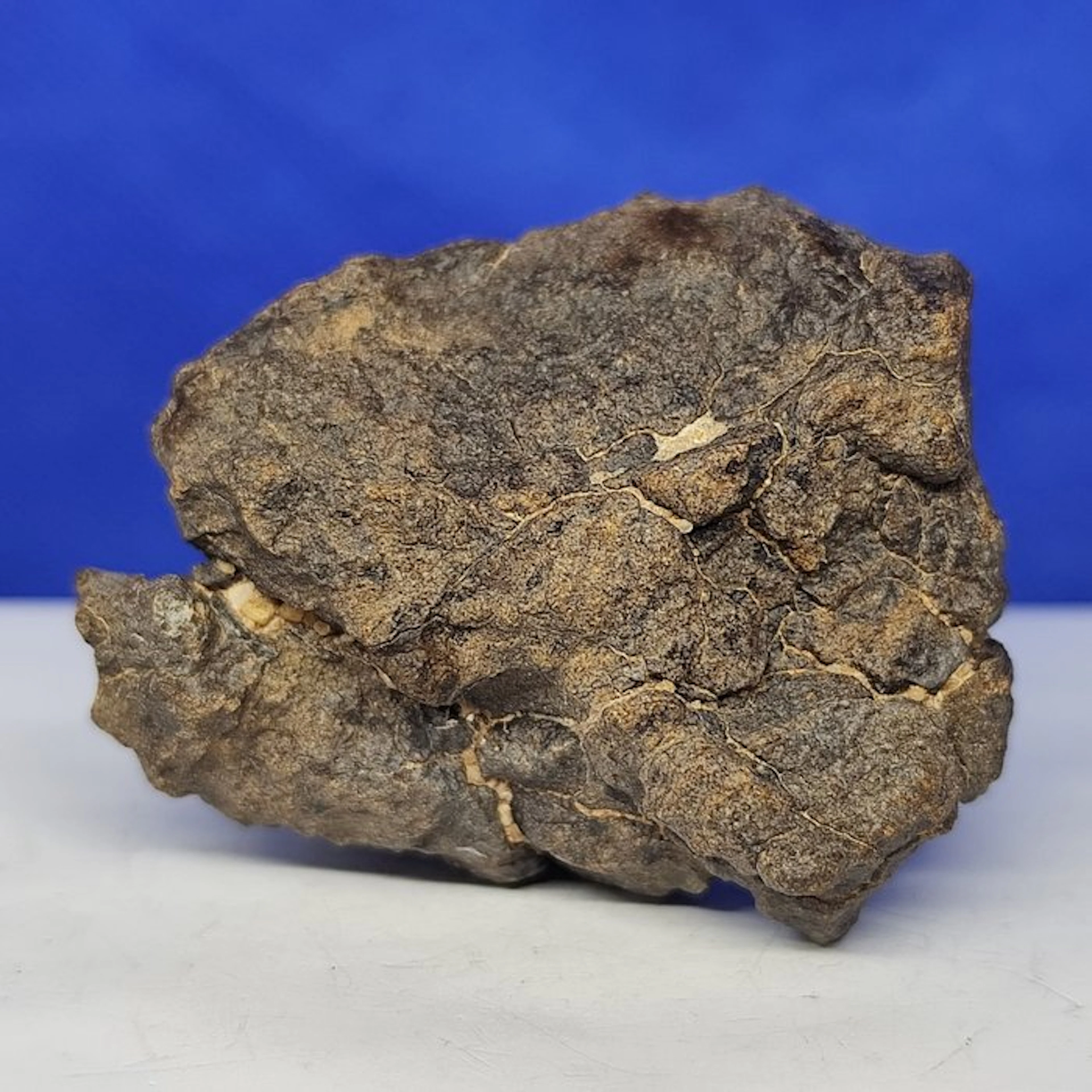 Enstatite chondrite!!! Coming from Mercury's orbit! Meteorite Al Haggounia 001