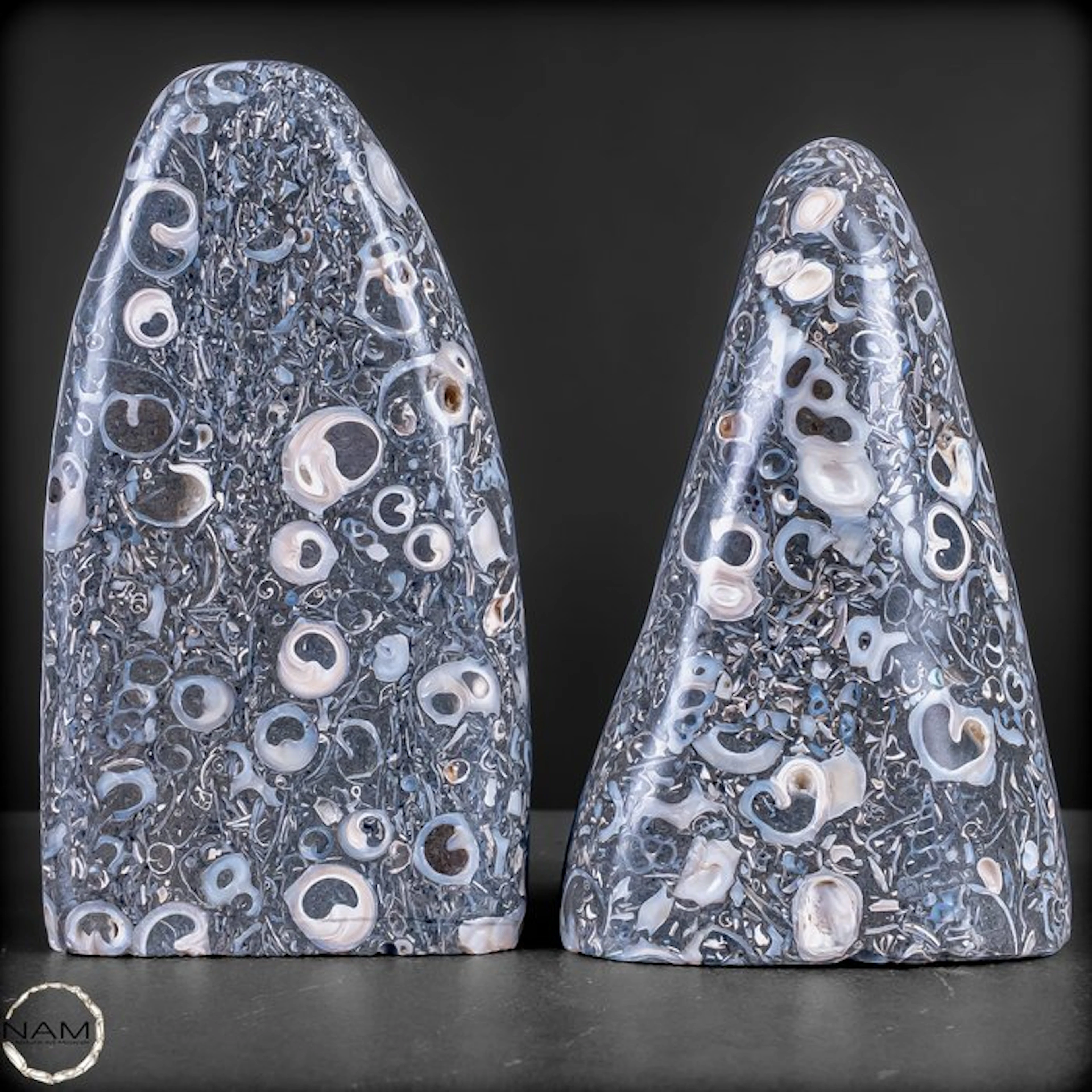 Turritella-Agate Duo – Fossilized Time in a Fascinating Symphony of silver