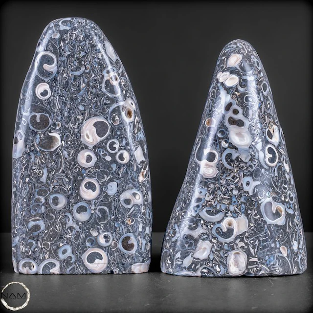 Turritella-Agate Duo – Fossilized Time in a Fascinating Symphony of silver