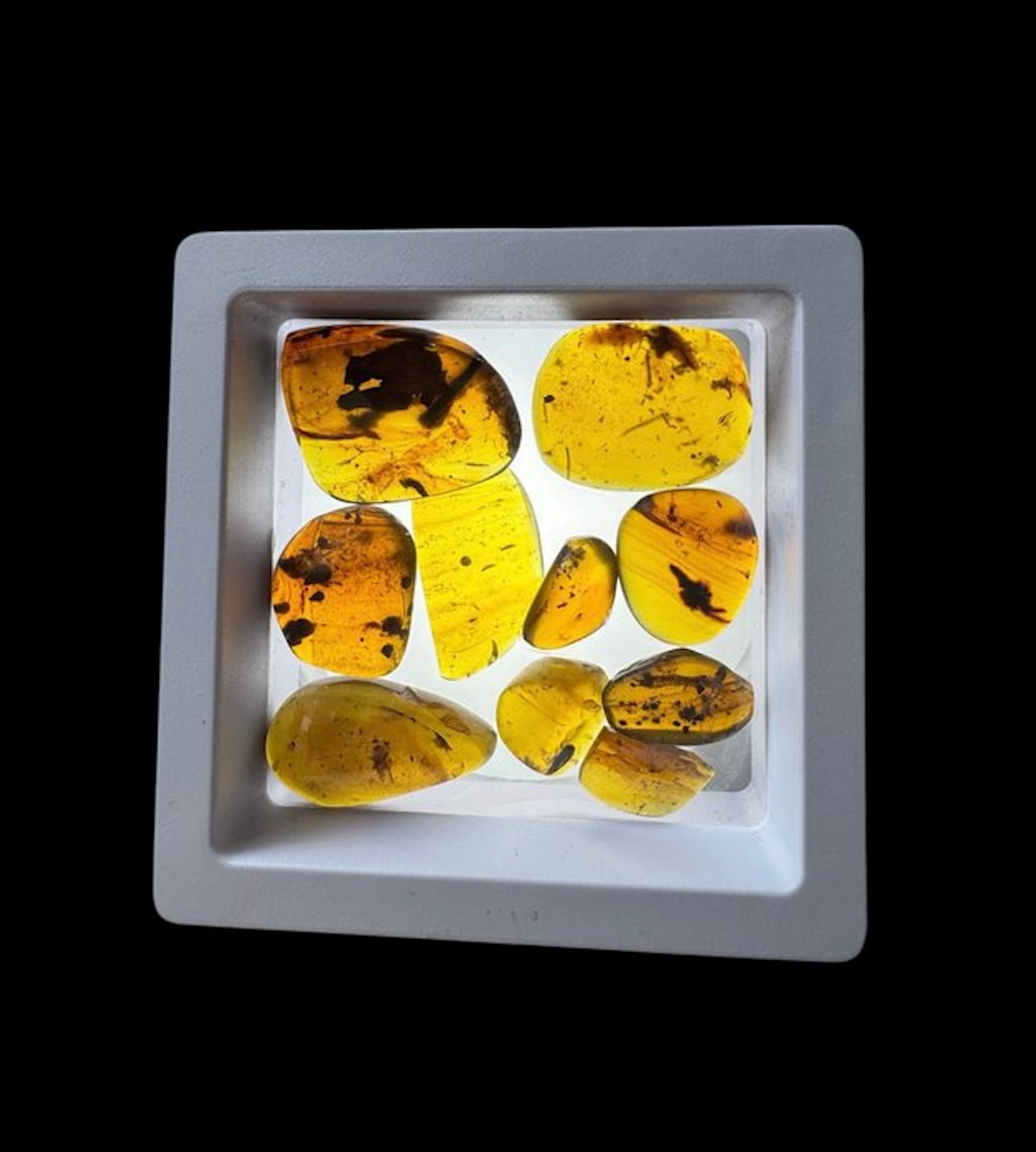 Burmese amber - Amber - 10 Burmese Amber Pieces with...