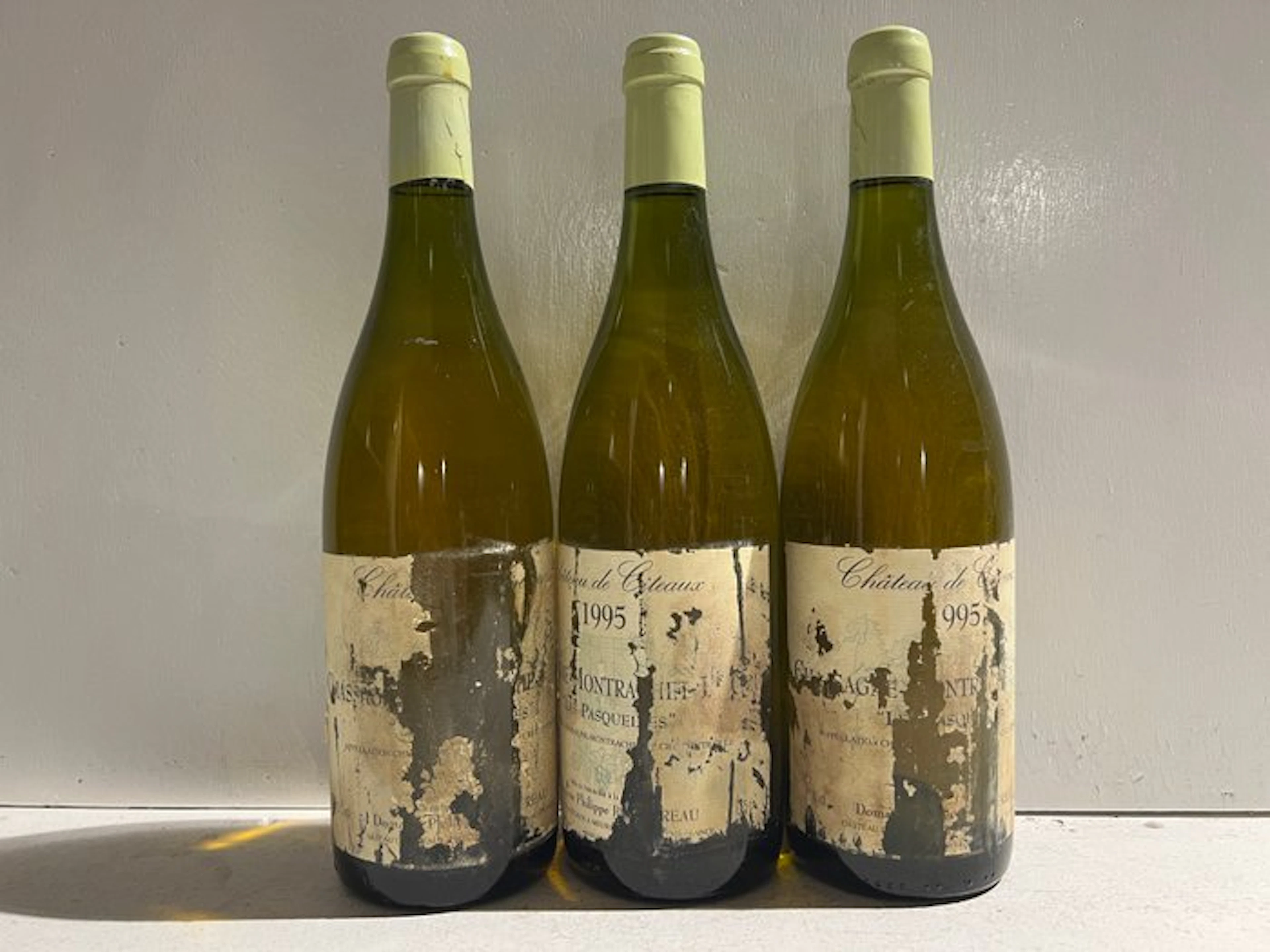 1995 Philippe Bouzereau - Chateau de Citeaux "Les...