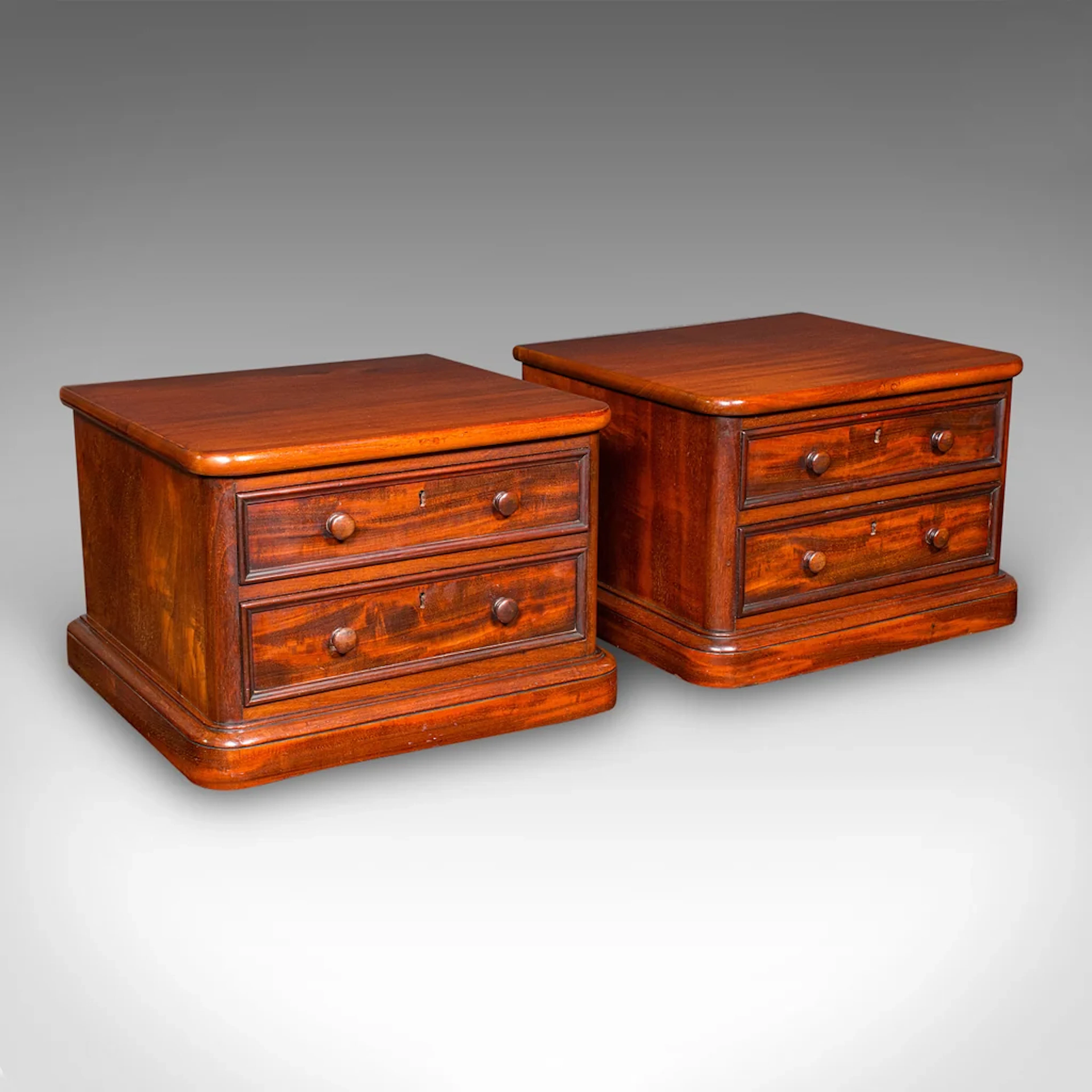 Pair of Antique Collector's Chests, English, Specimen Cases, Victorian, C.1870