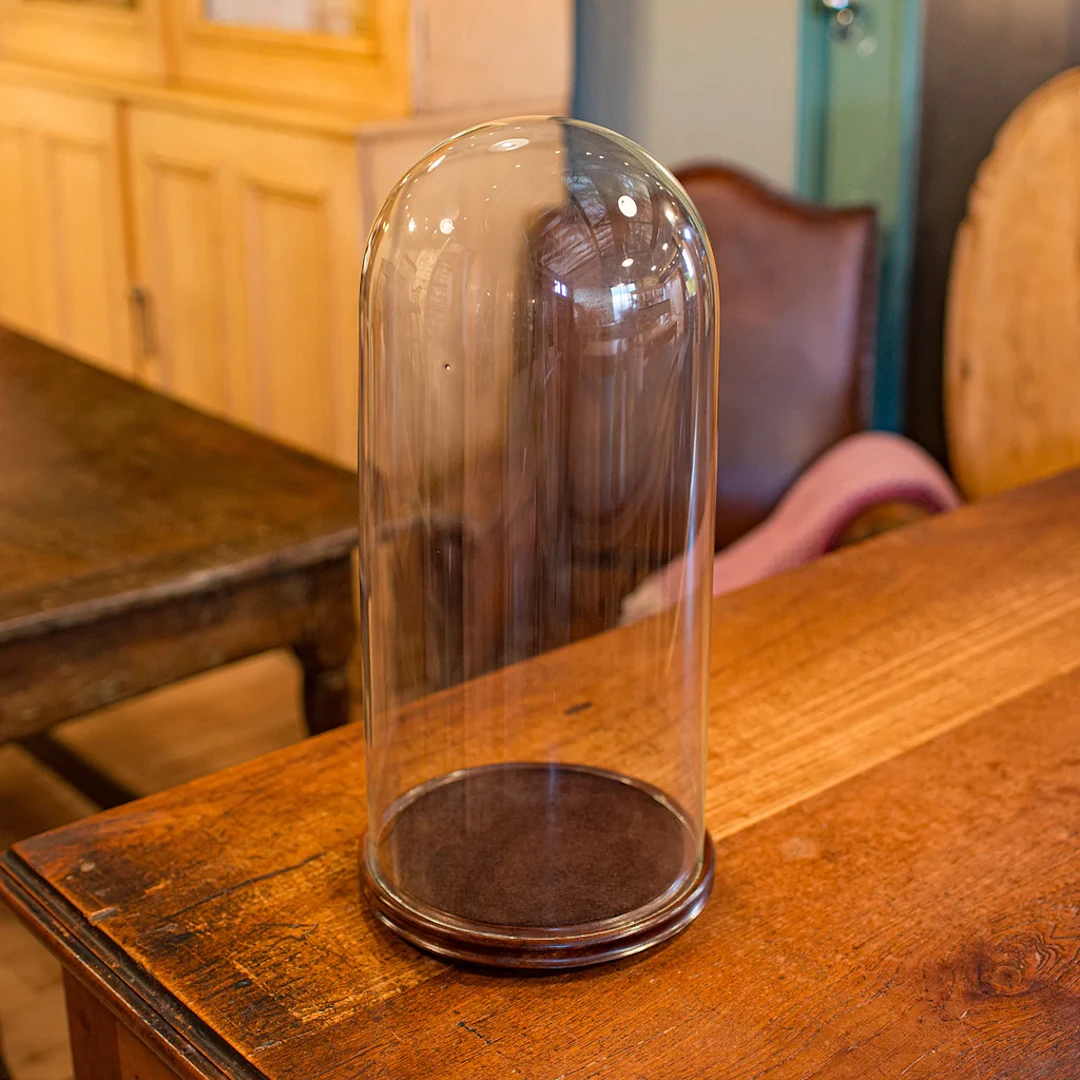 Tall Antique Taxidermy Dome, English, Glass, Collector’s Display