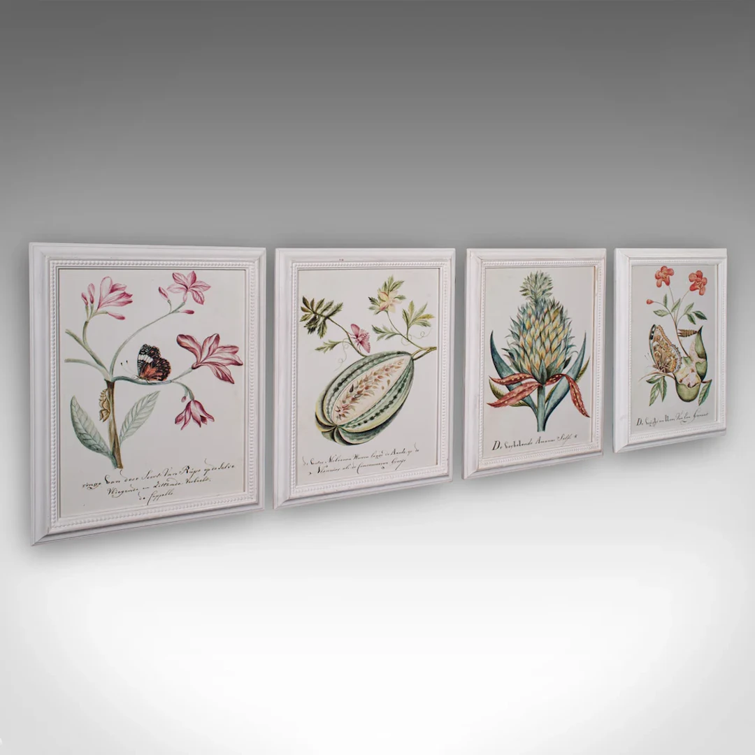 4 Vintage Botanical Pictures, Framed Print, Plant Illustrations, Natural Art