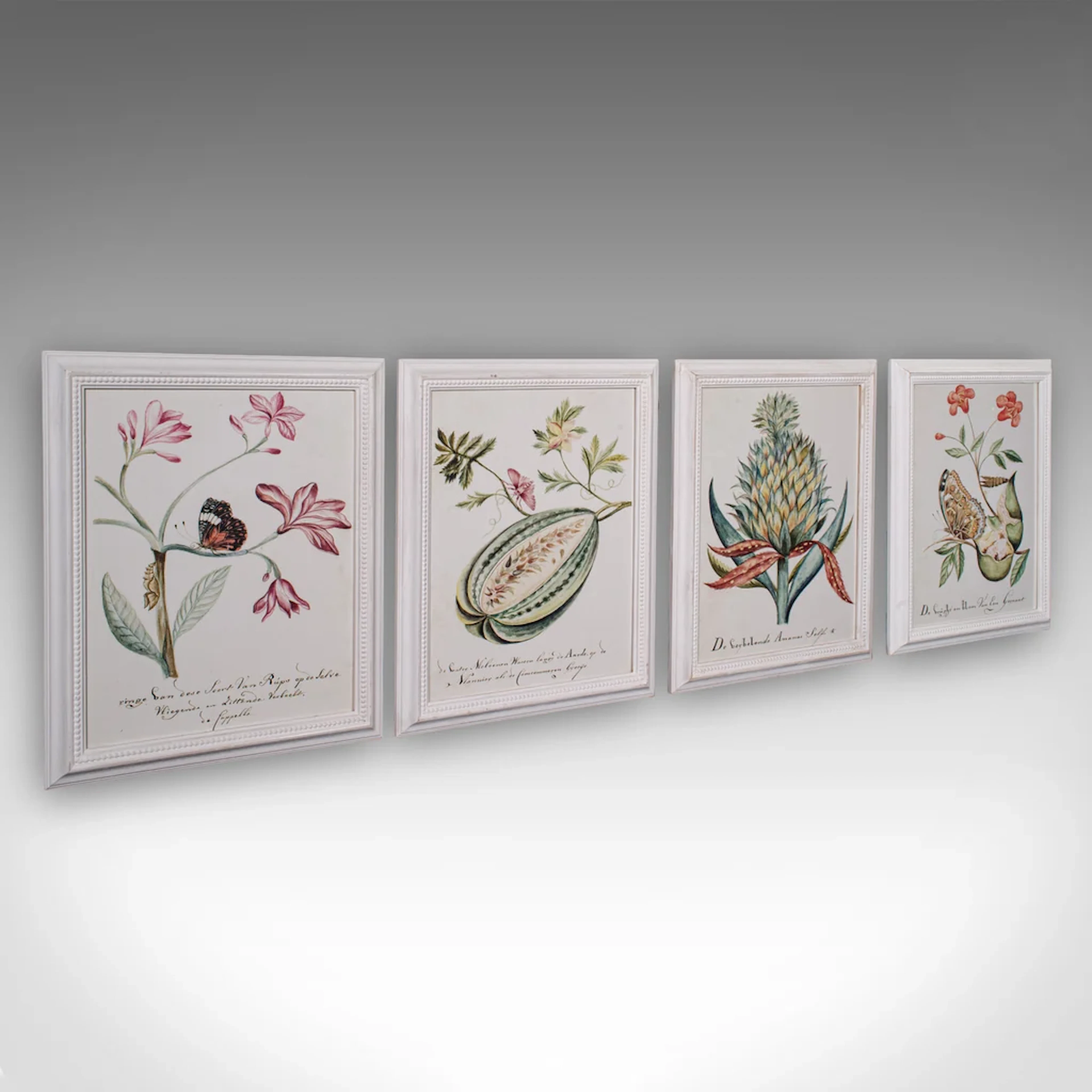 4 Vintage Botanical Pictures, Framed Print, Plant Illustrations, Natural Art