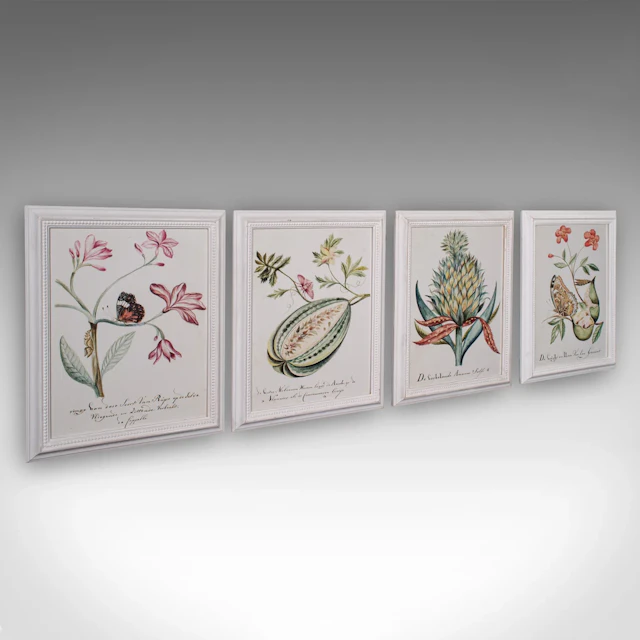 4 Vintage Botanical Pictures, Framed Print, Plant Illustrations, Natural Art