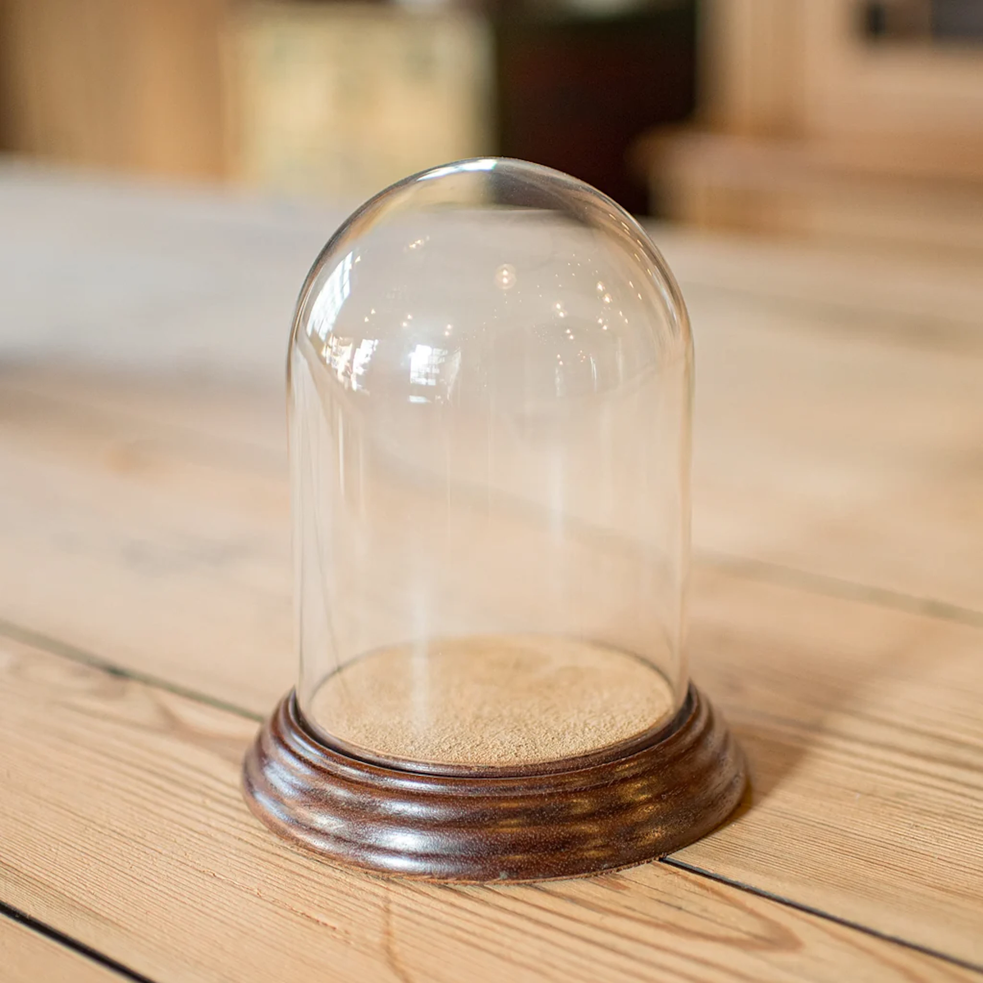 Small Antique Display Dome, English, Glass, Oak, Taxidermy, Showcase, Edwardian