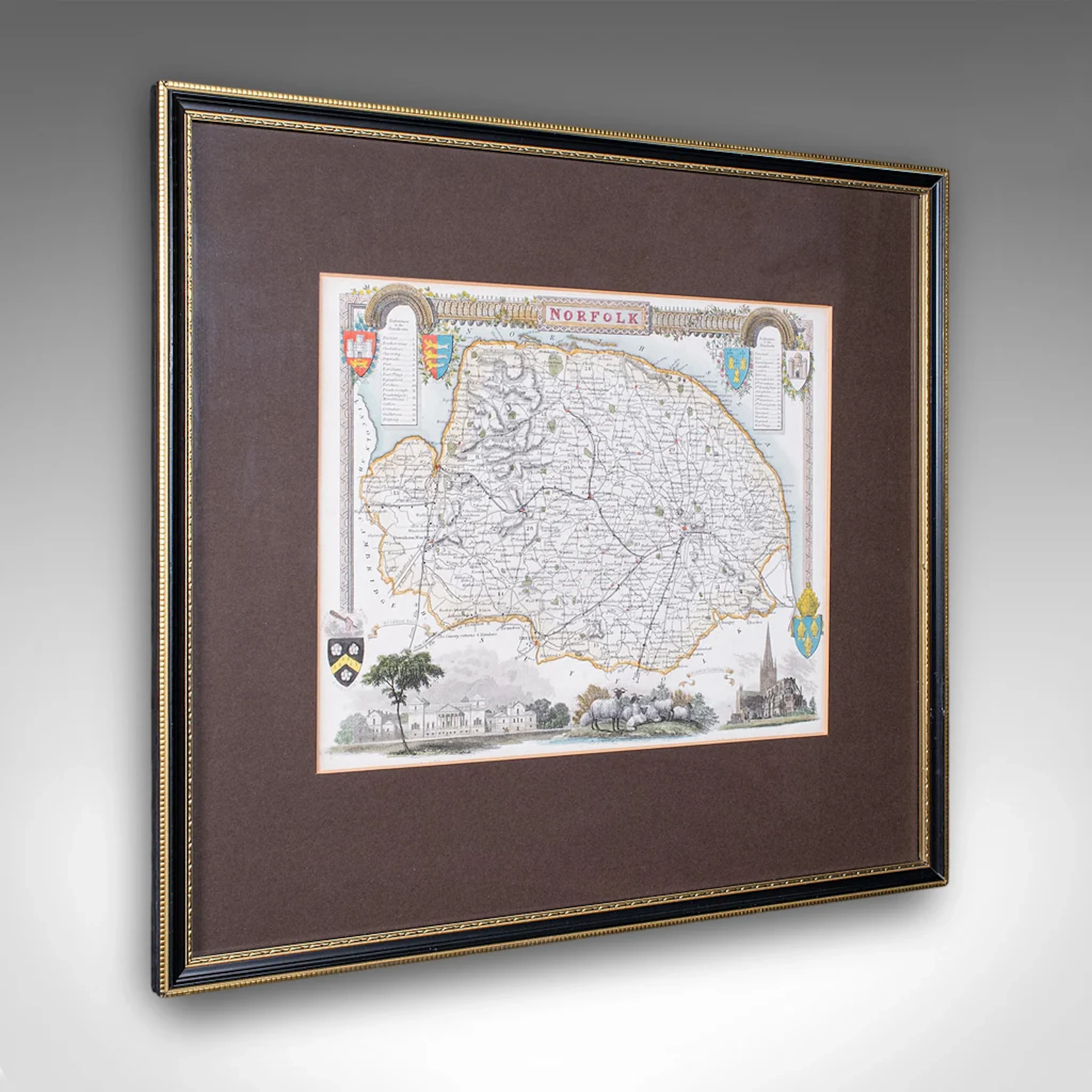 Vintage Norfolk County Map, English, Framed, Cartography, After Thomas Moule