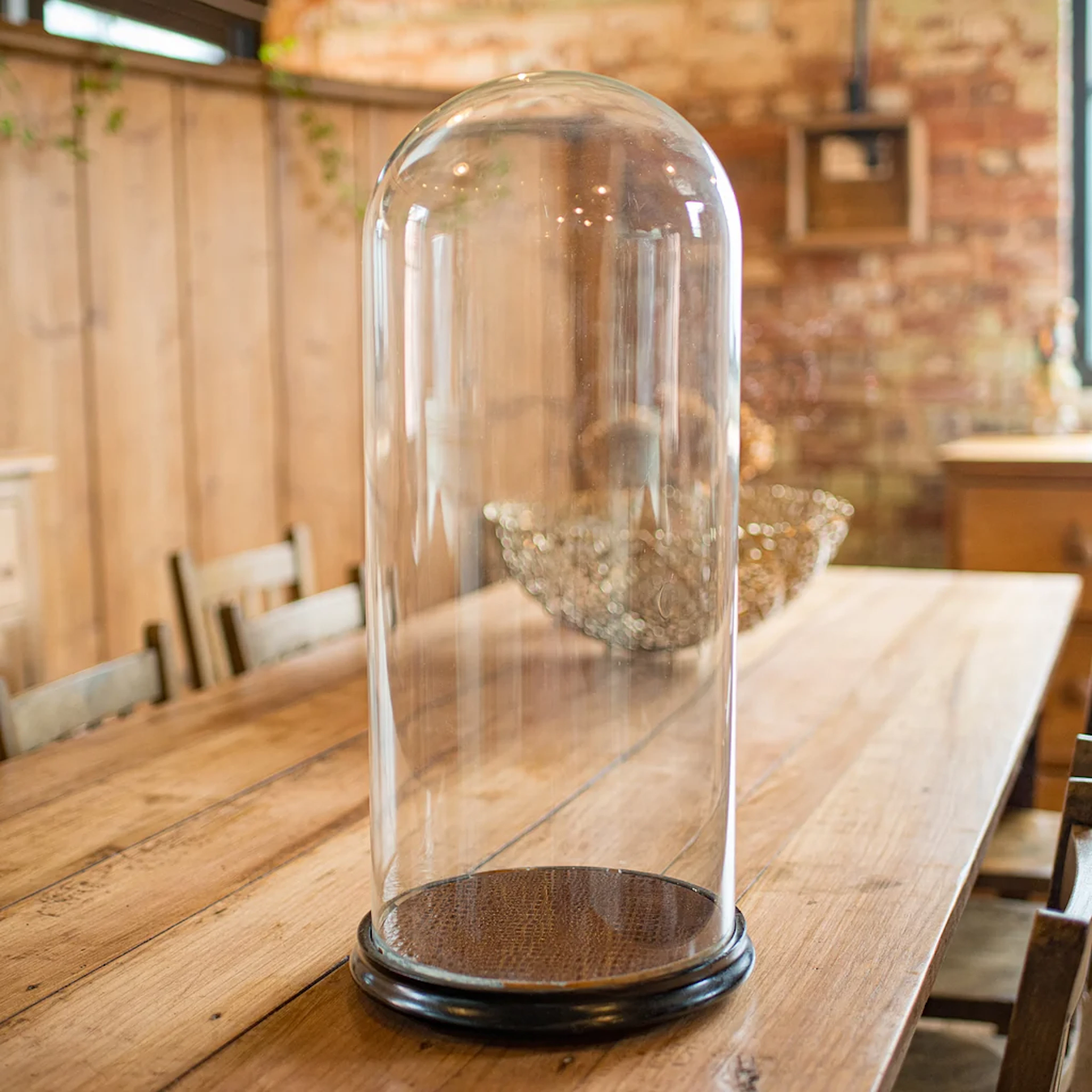 Large Antique Specimen Display Dome, English Taxidermy Showcase, Victorian