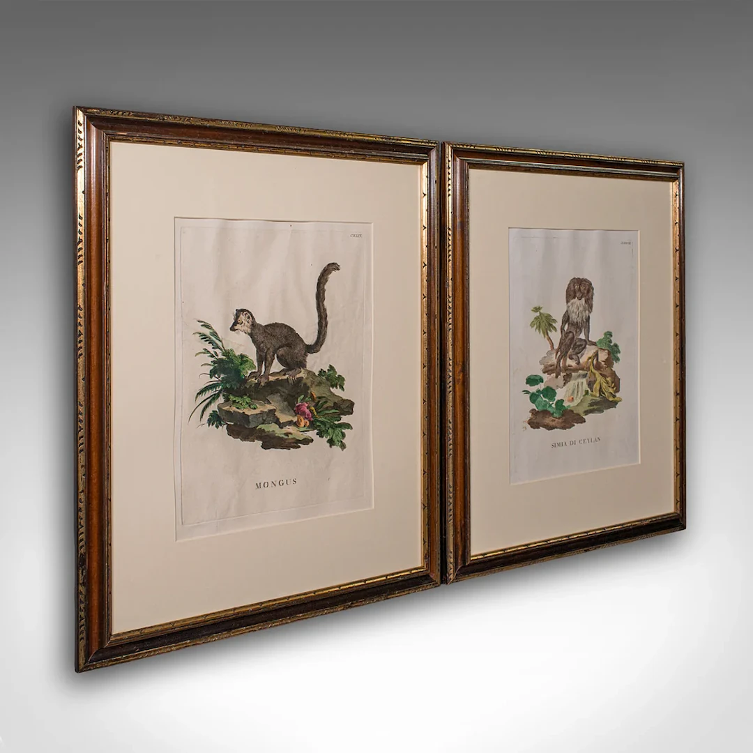 Pair of Antique Animal Portraits, French, Framed Pictures, Natural