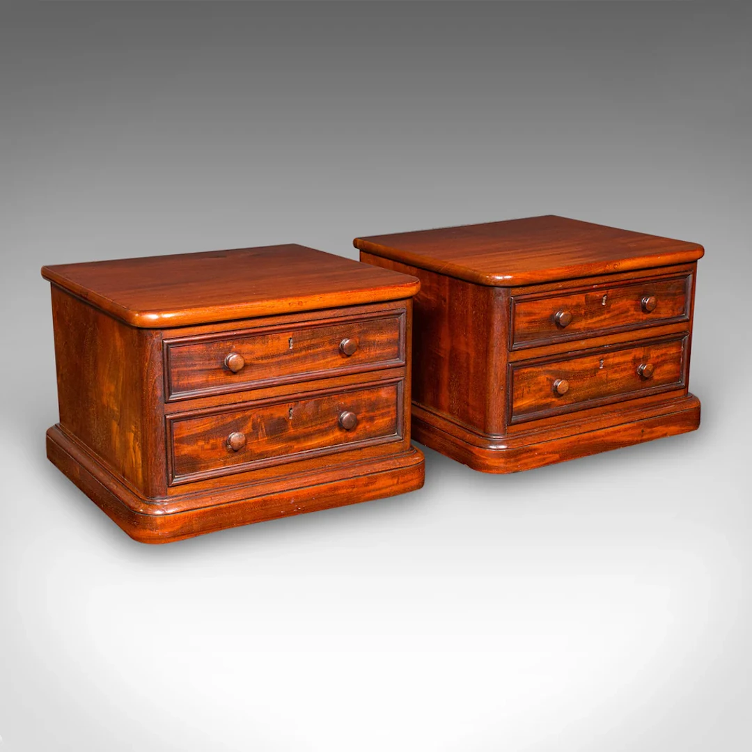 Pair of Antique Collector's Chests, English, Specimen Cases, Victorian, C.1870