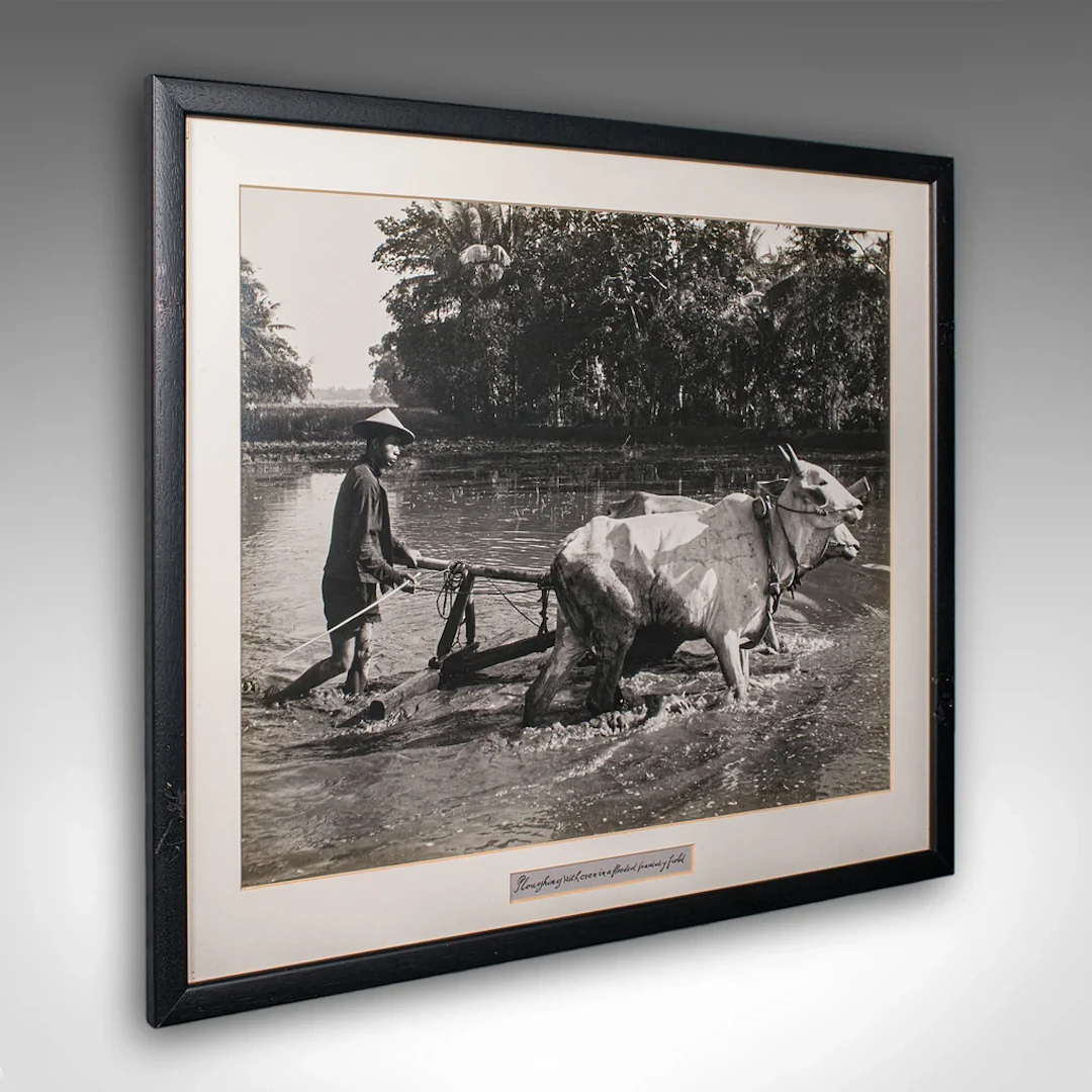 Vintage Photograph, Rural Indonesia, Oriental, Monochrome, Java, Mid Century
