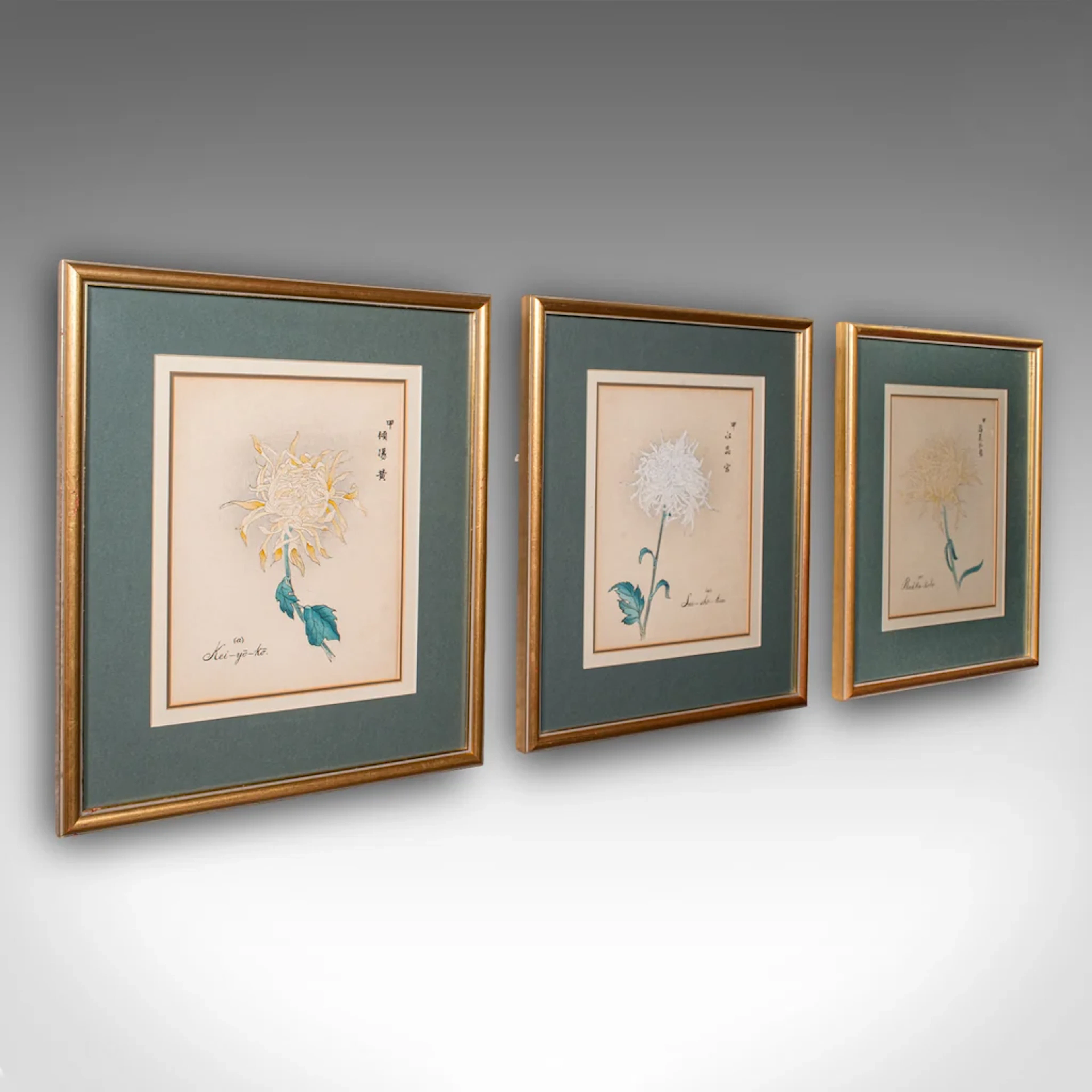 3 Vintage Botanical Pictures, Japanese, Woodblock Print, After Hasegawa, Art