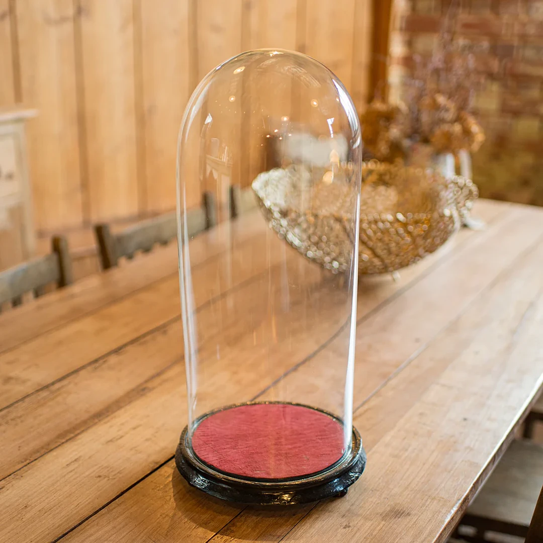 Tall Victorian Antique Collector's Dome, English Glass, Taxidermy