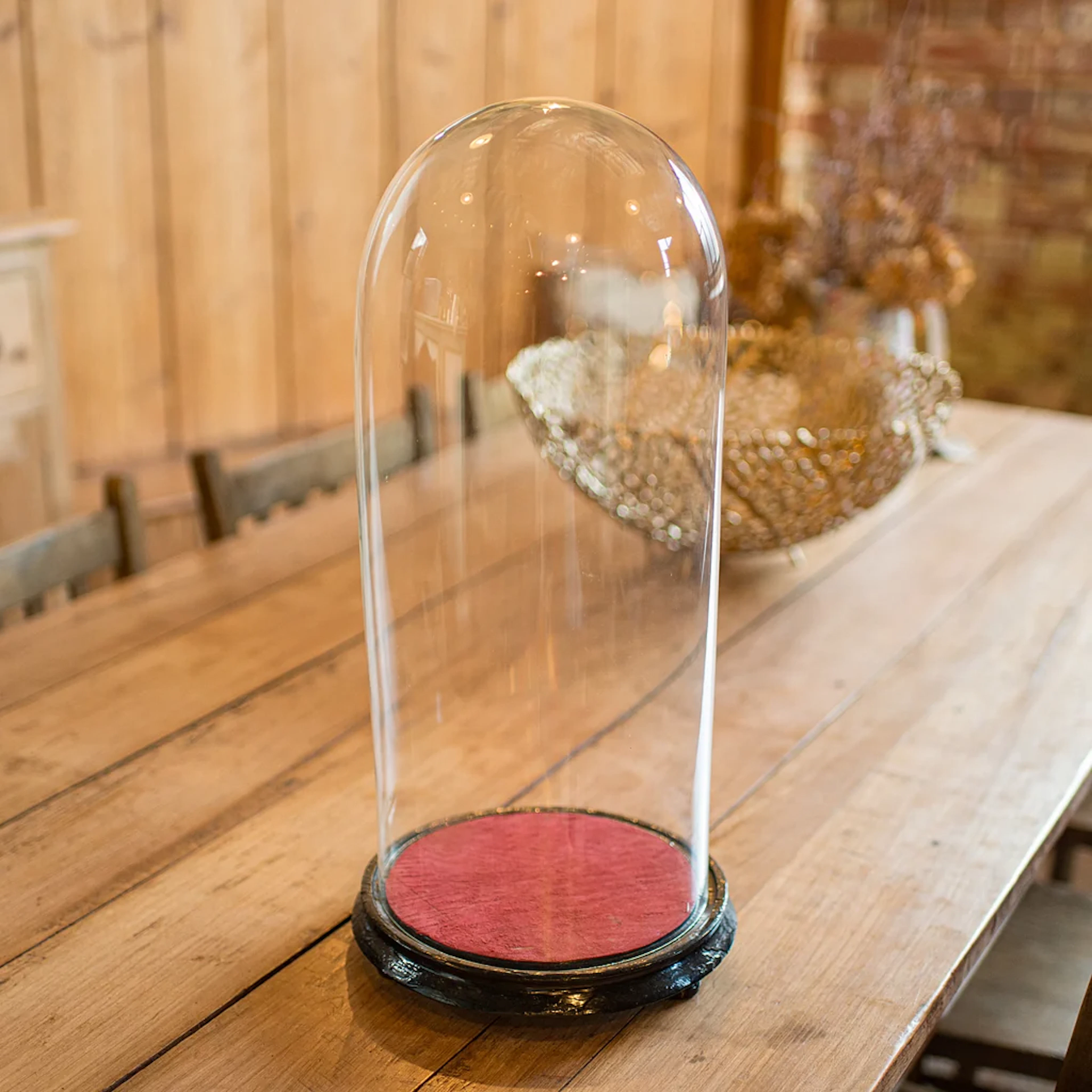 Tall Victorian Antique Collector's Dome, English Glass, Taxidermy