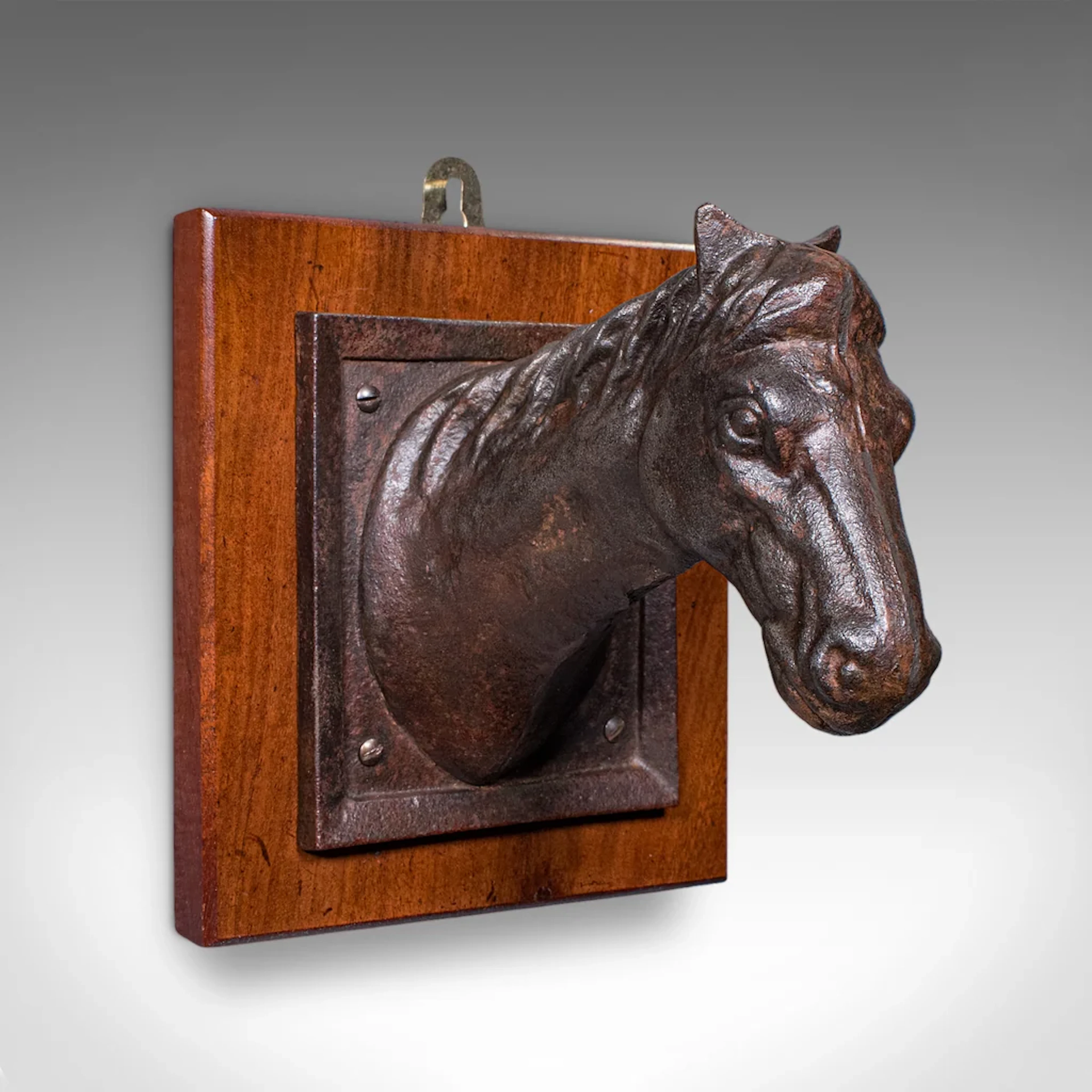 Antique Mounted Horse Bust, English, Iron, Coat Hook, Equestrian Tack