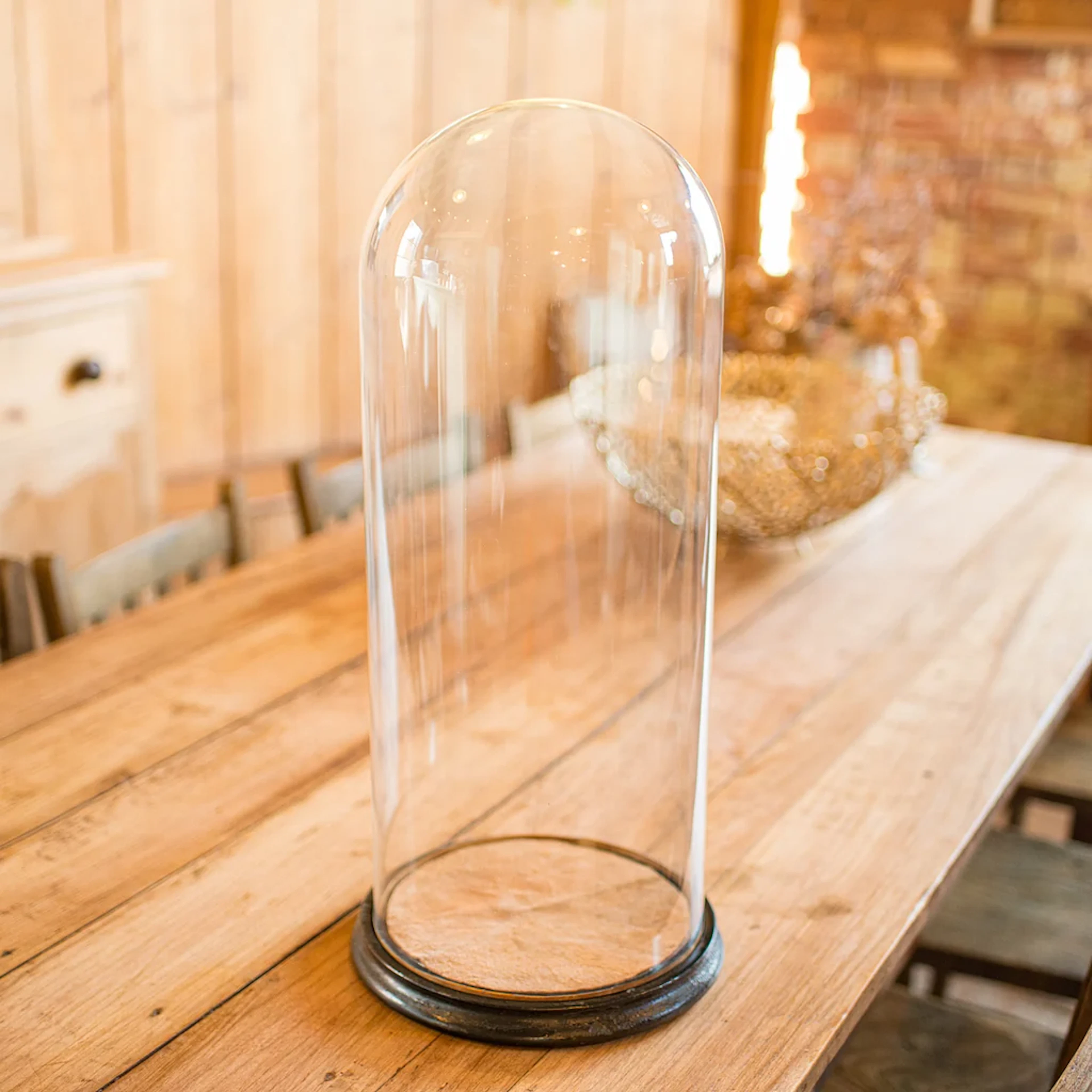 Tall Victorian Antique Taxidermy Specimen Dome, English Glass Display