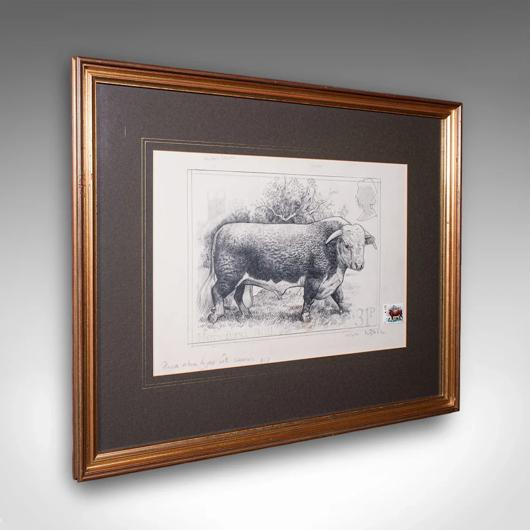 Vintage Hereford Bull Sketch, English, Framed Art, Stamp Proof, Barry Driscoll