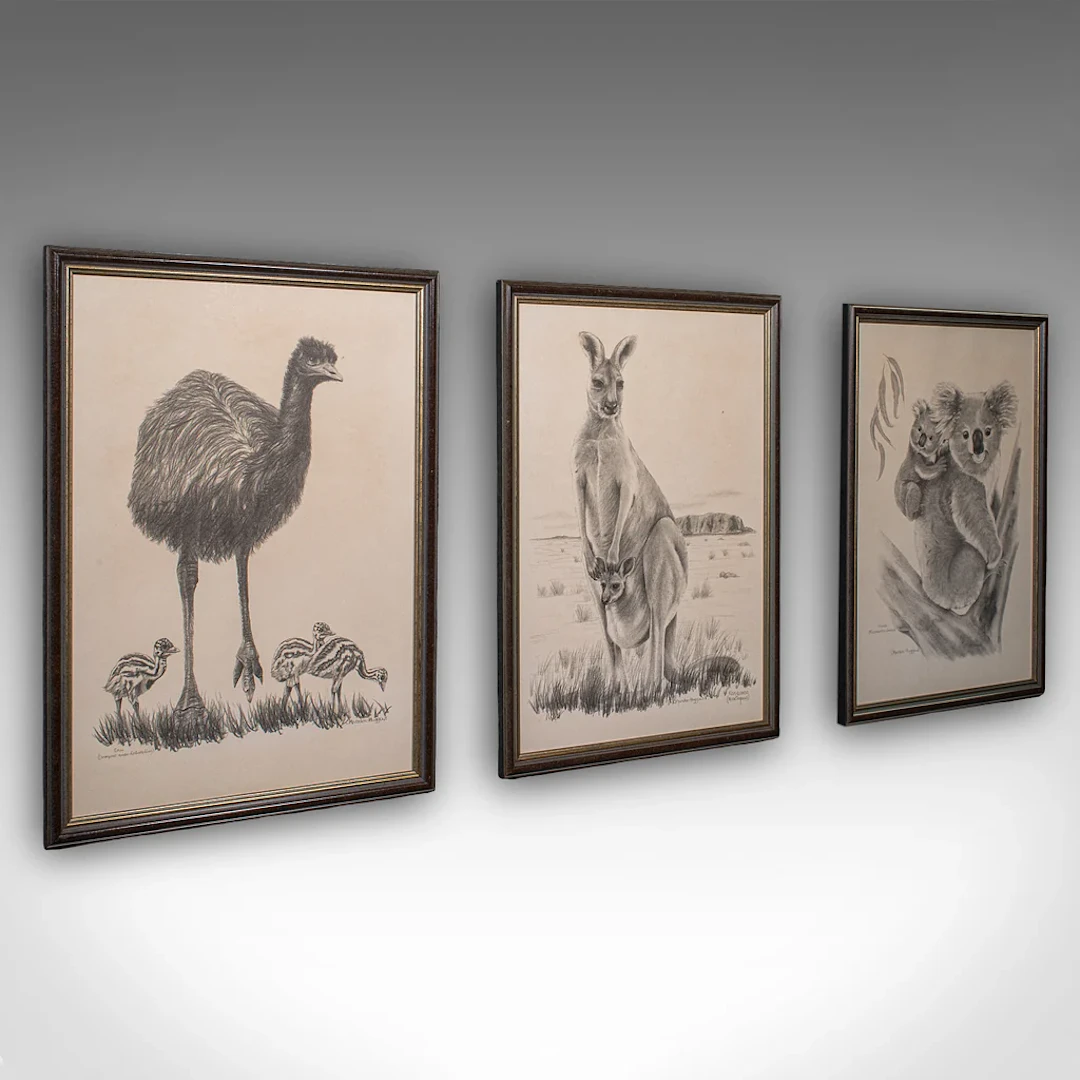 Vintage Wildlife Picture Trio, Australian Interest, Framed Prints, Animal Art