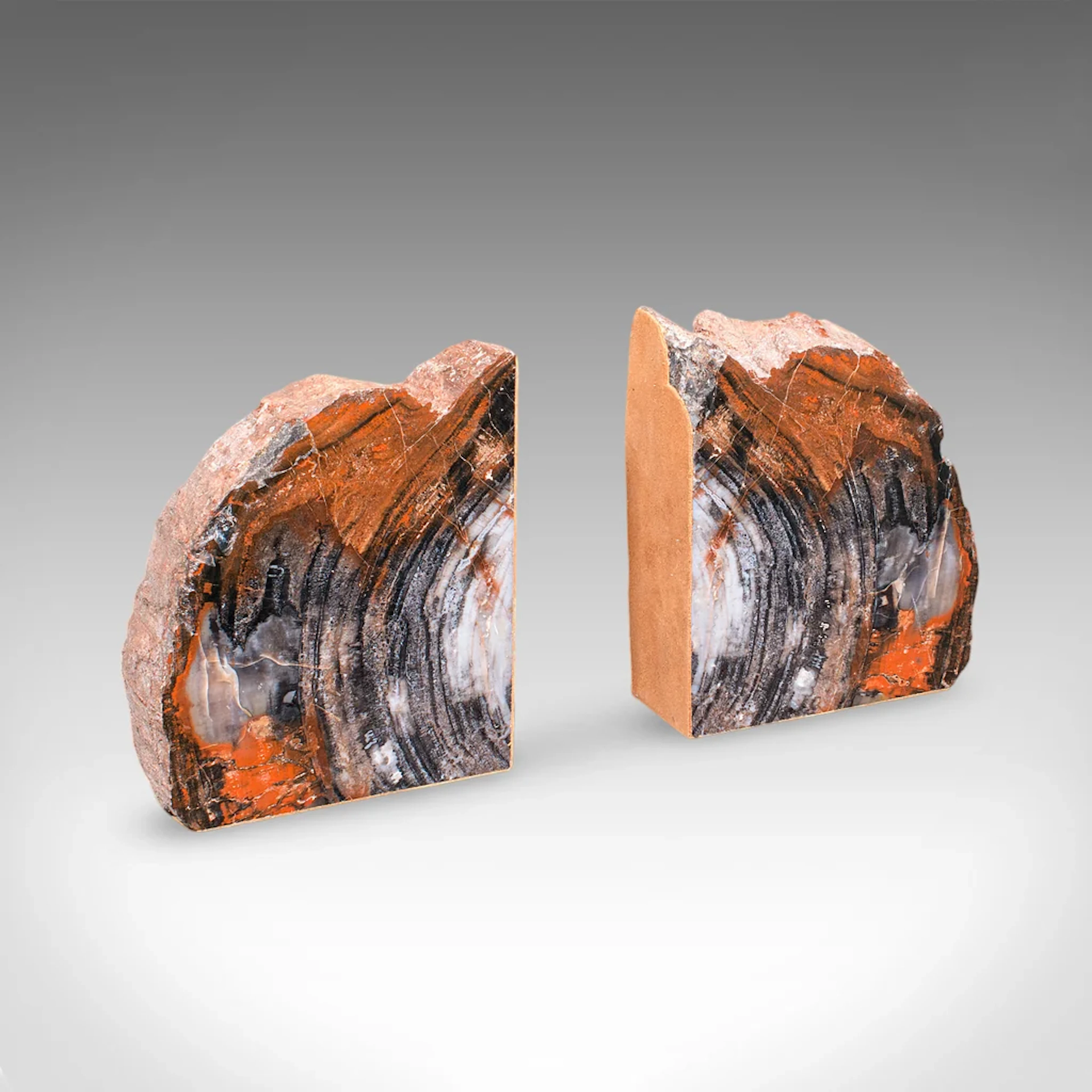 Pair of Prehistoric Large Volume Bookends, Petrified Wood, Book Rest