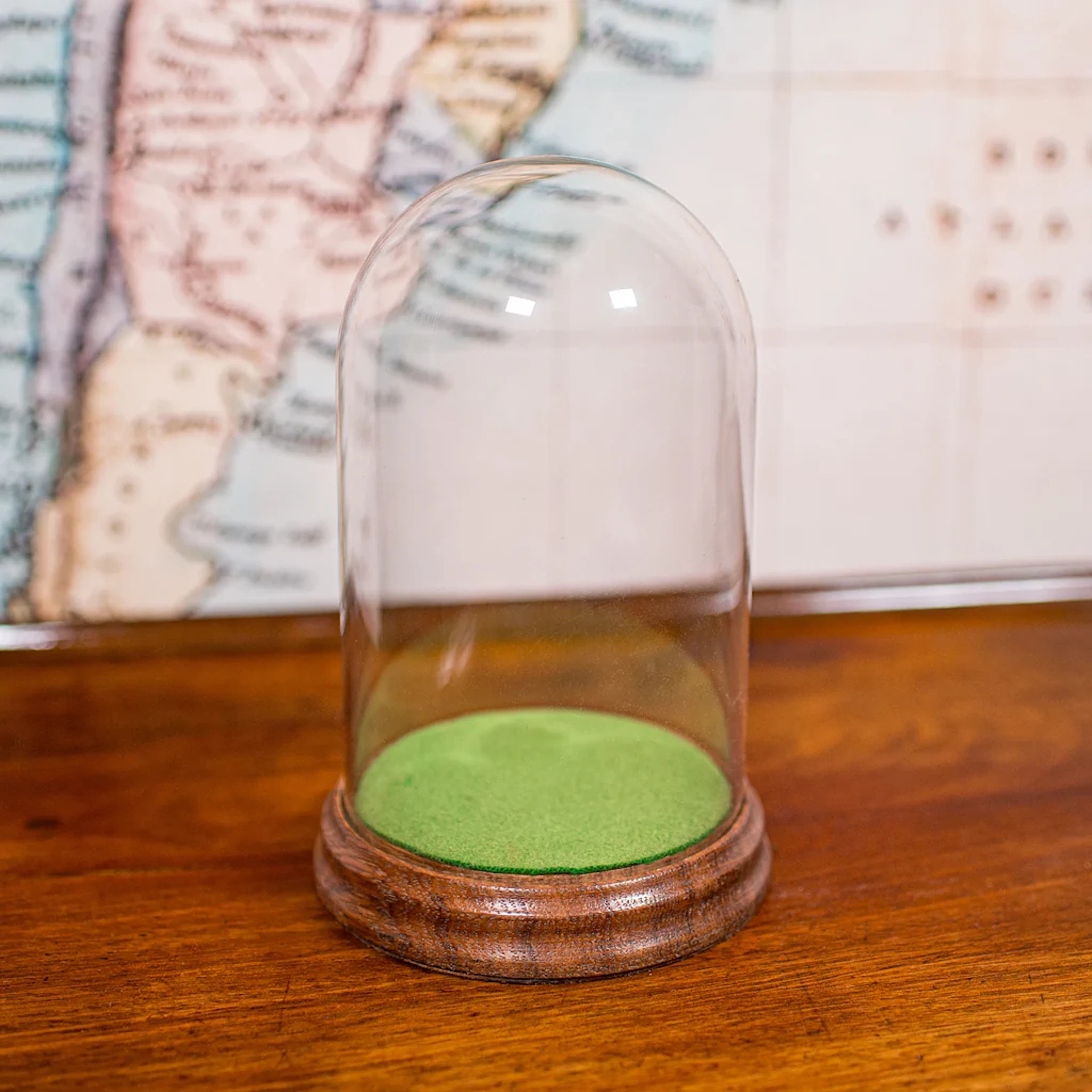 Small Antique Display Dome, English, Glass, Specimen Showcase, Edwardian