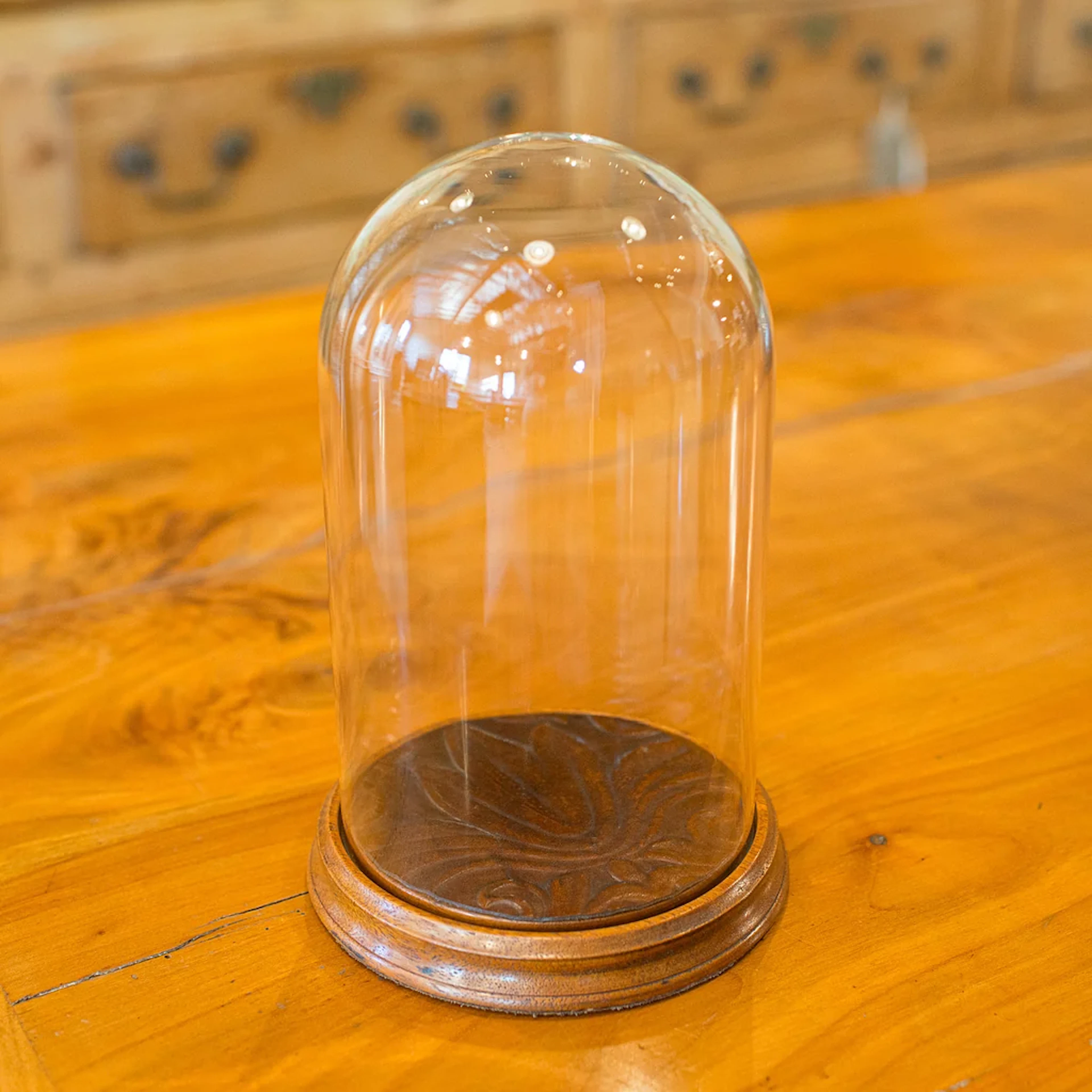 Small Vintage Display Dome, English Glass Showcase, Mid 20th Century