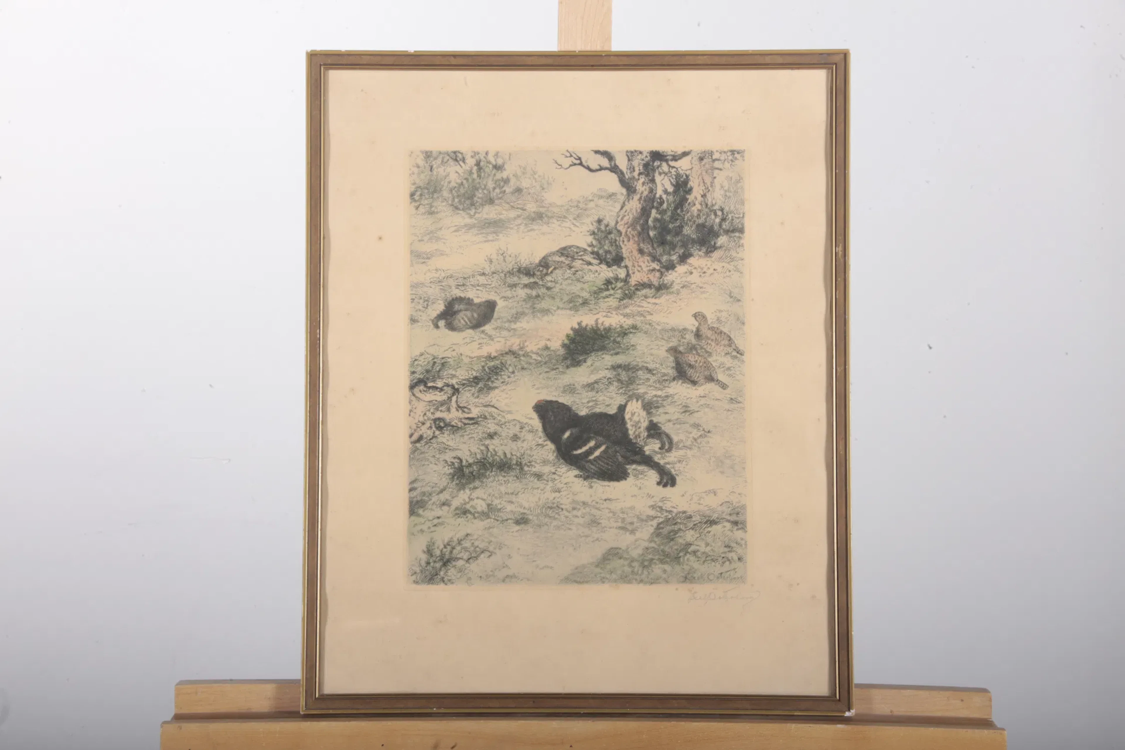 Axel Österberg- Etsning "Orrspel", Signerad