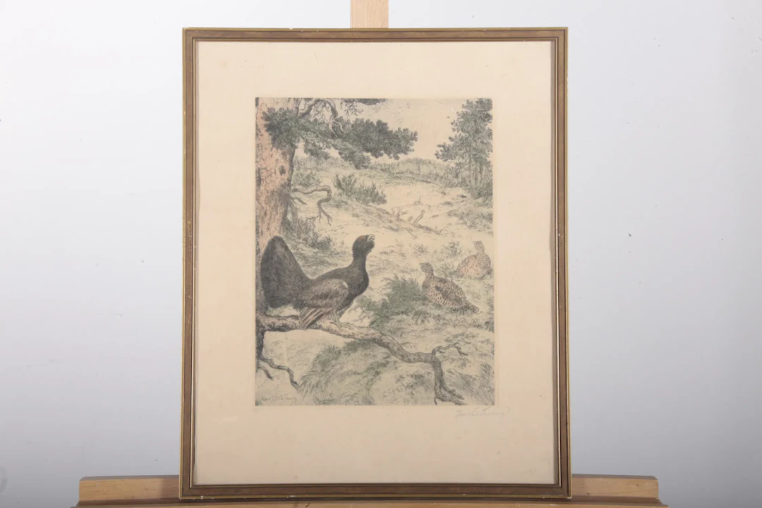 Axel Österberg- Etsning "Orrspel", Signerad