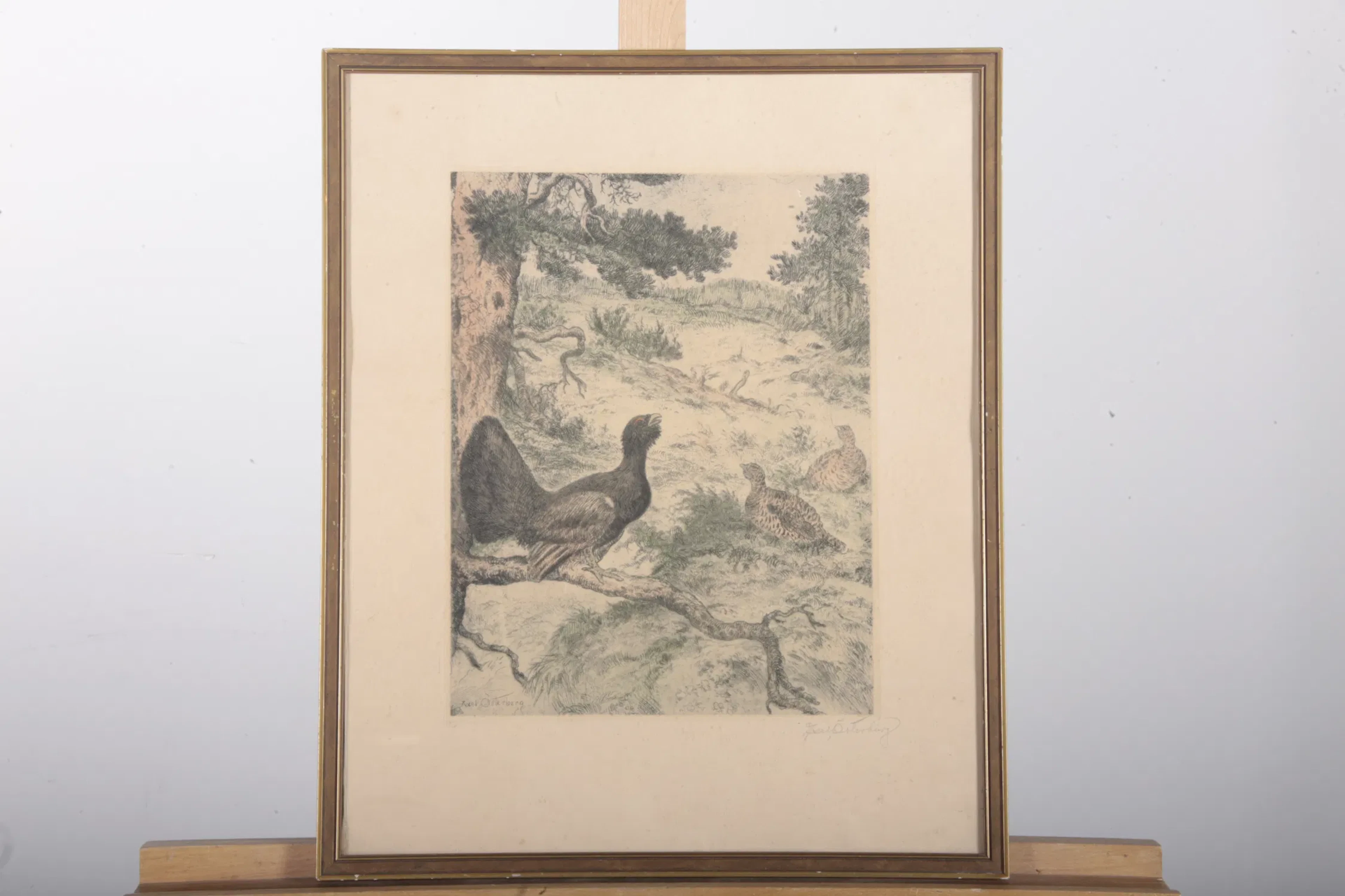 Axel Österberg- Etsning "Orrspel", Signerad