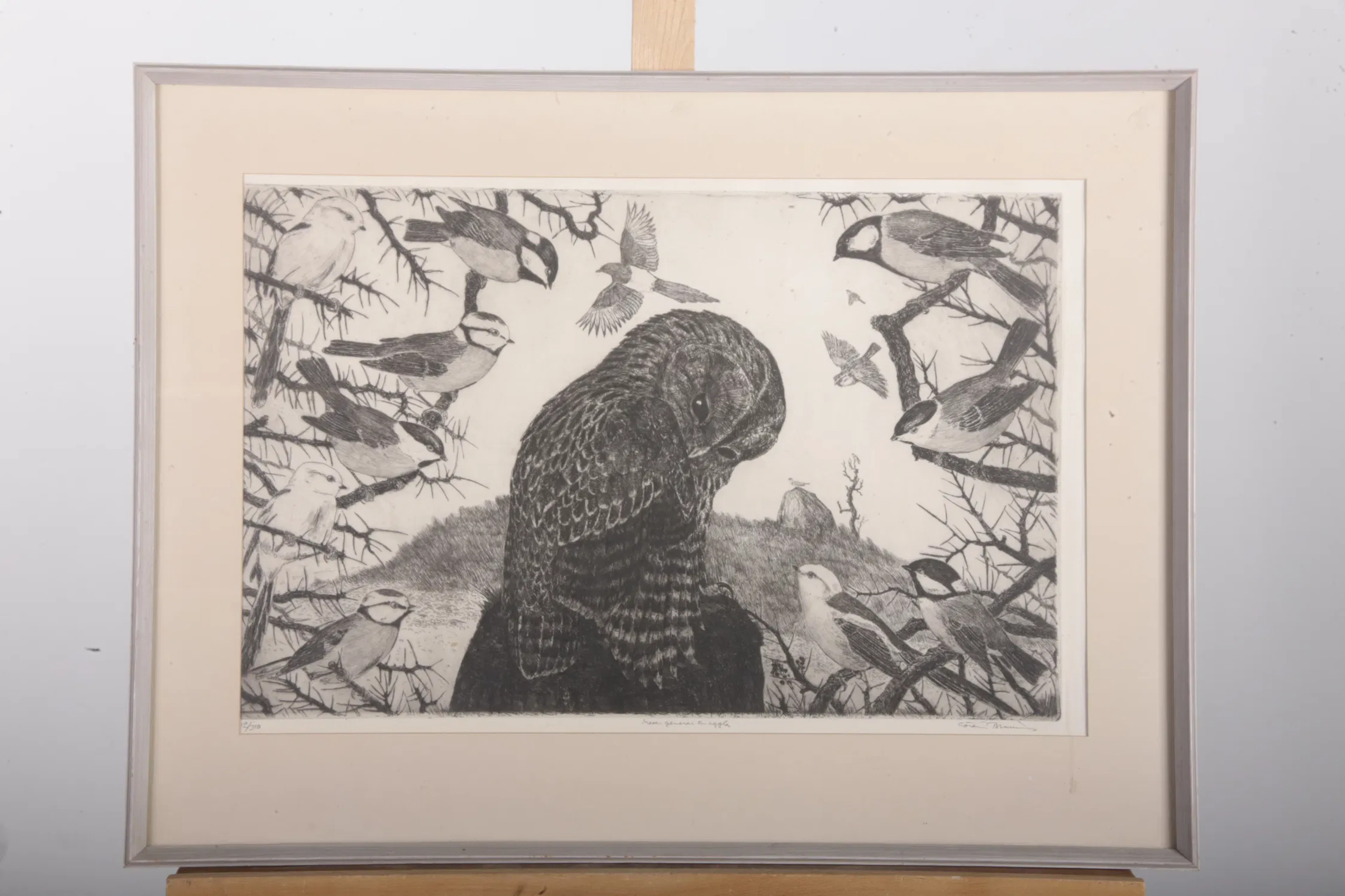 Göran Brunius- Litografi "Uggla", N:o 12/310, Signerad
