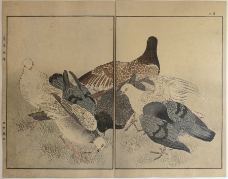 Imao KEINEN (1845-1924) - Pictures of Birds and Flowers