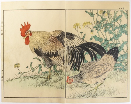 Imao KEINEN (1845-1924) - Pictures of Birds and Flowers