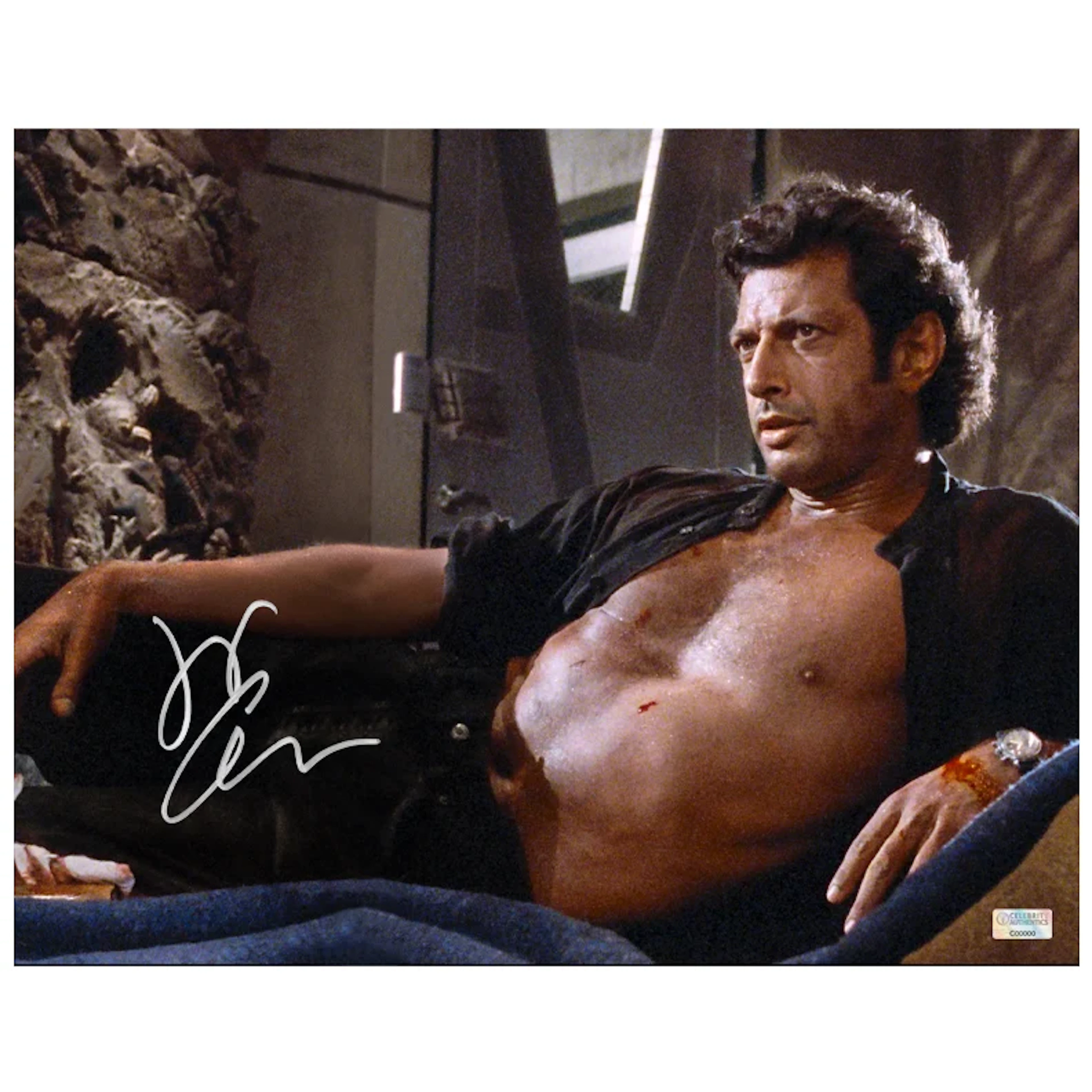 Jeff Goldblum Autographed 1993 Jurassic Park Ian Malcolm 11×14 Photo