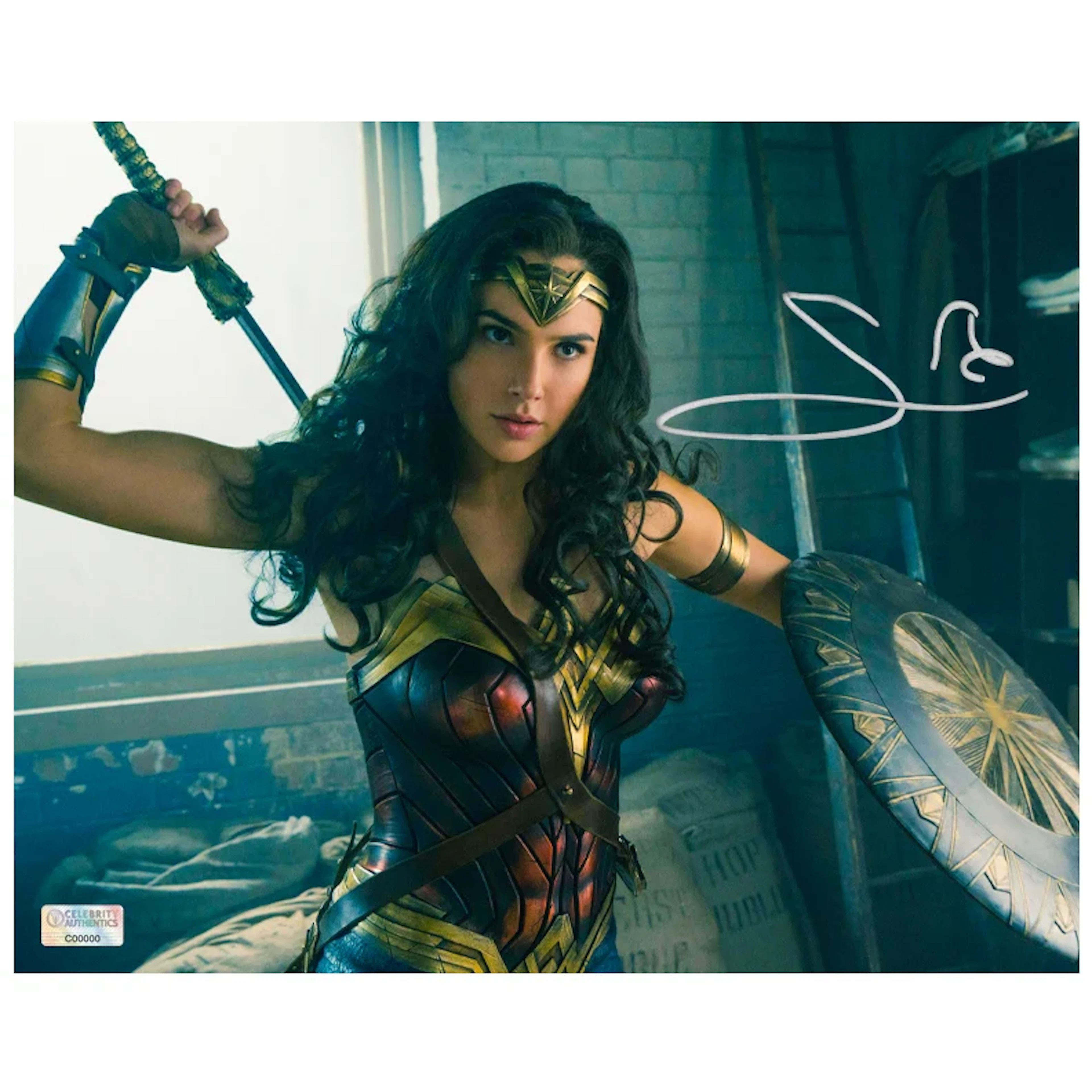 Gal Gadot Autographed 2017 Wonder Woman Battle Scene 8x10 Photo