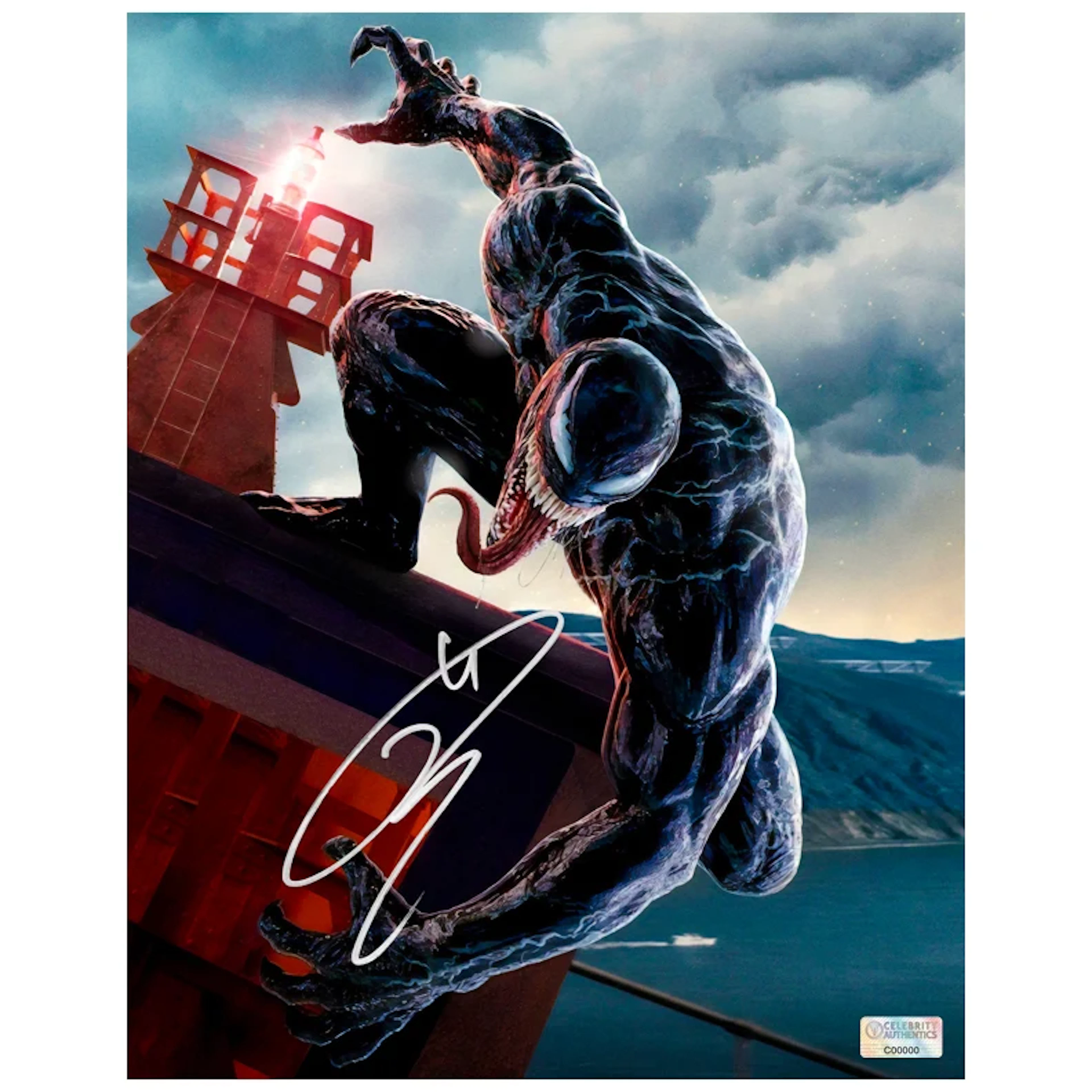 Tom Hardy Autographed 2018 Venom Fury 11x14 Photo