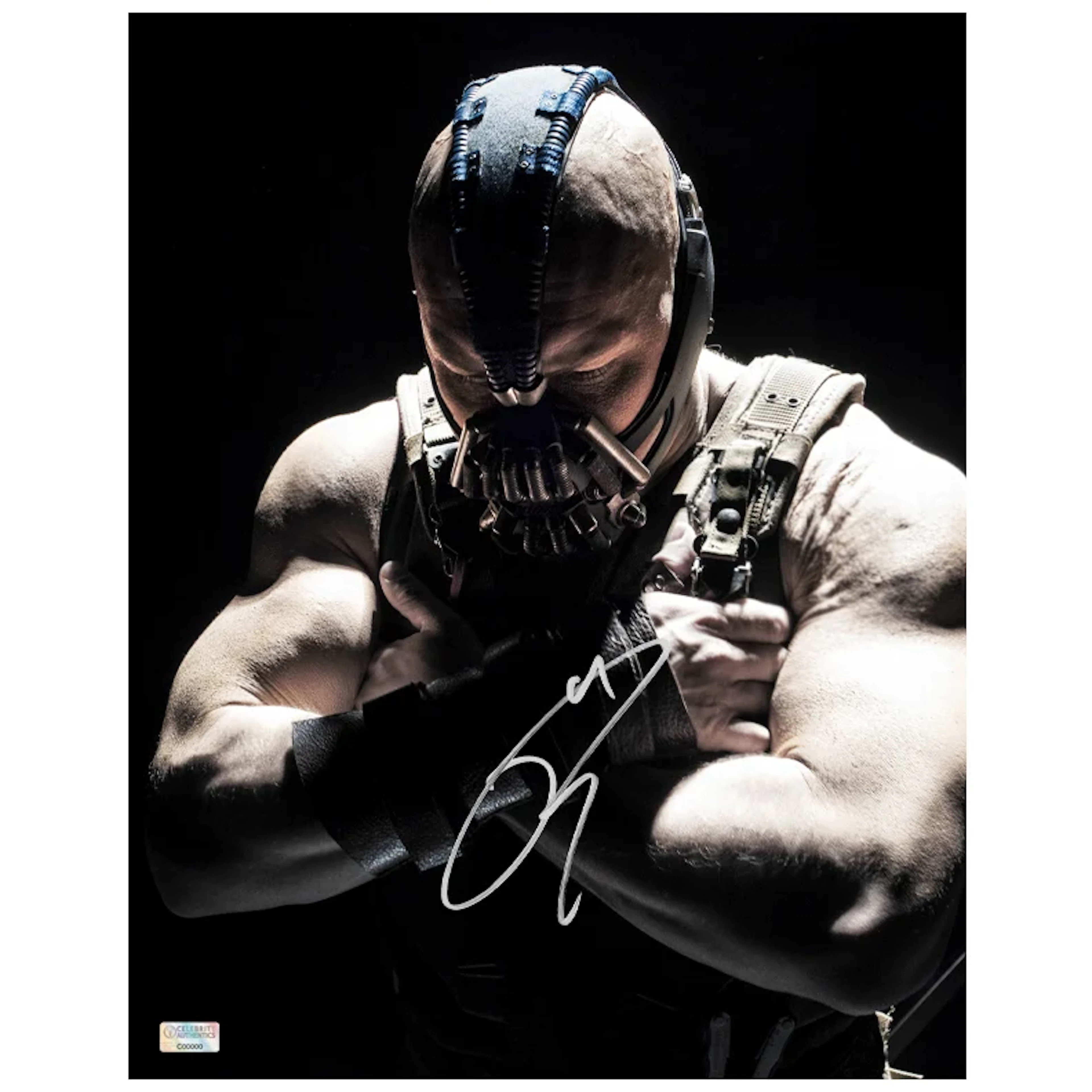 Tom Hardy Autographed 2012 The Dark Knight Rises Bane Shadows 11x14 Photo