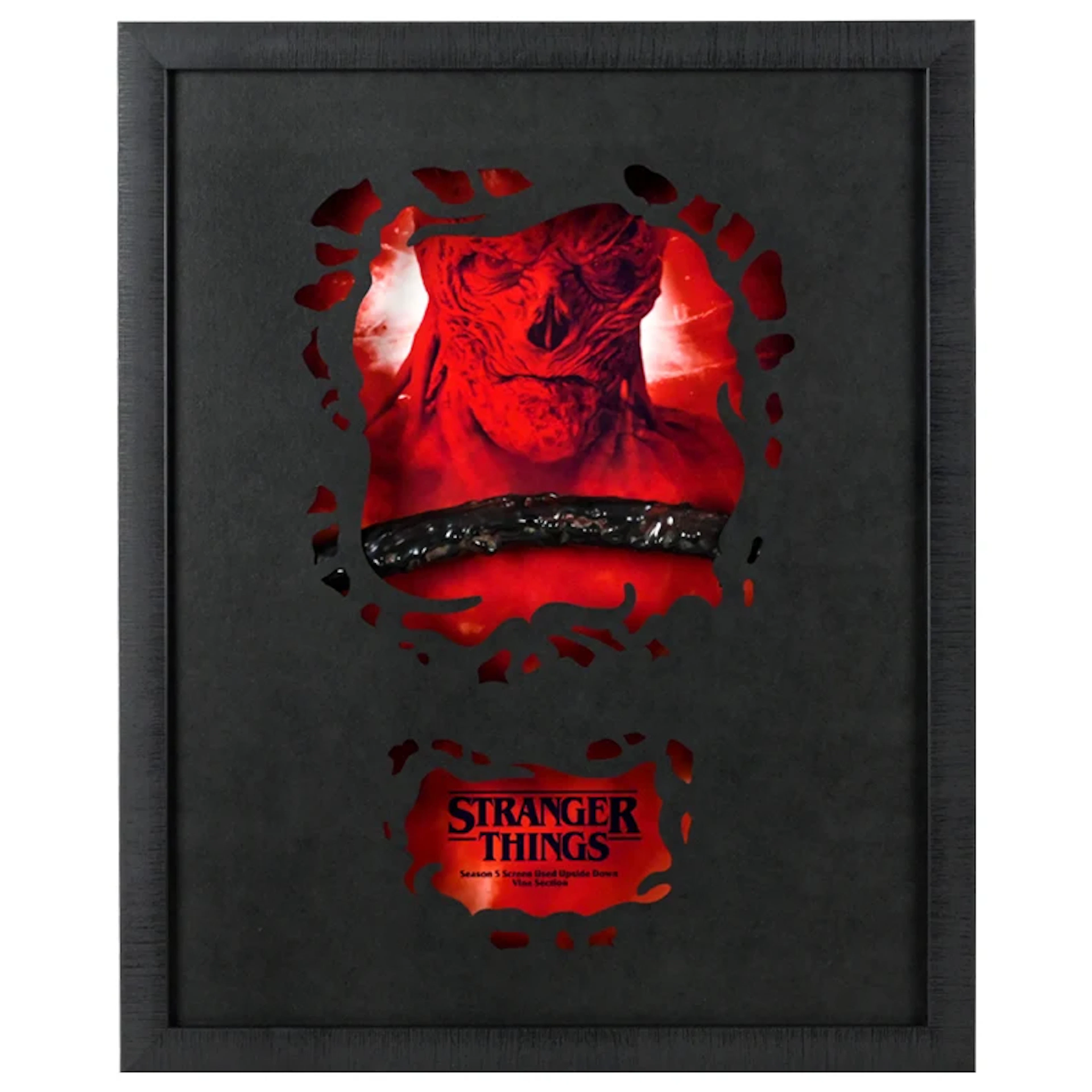 Stranger Things Seaon 5 Screen Used The Nether Vine Framed Display A2062