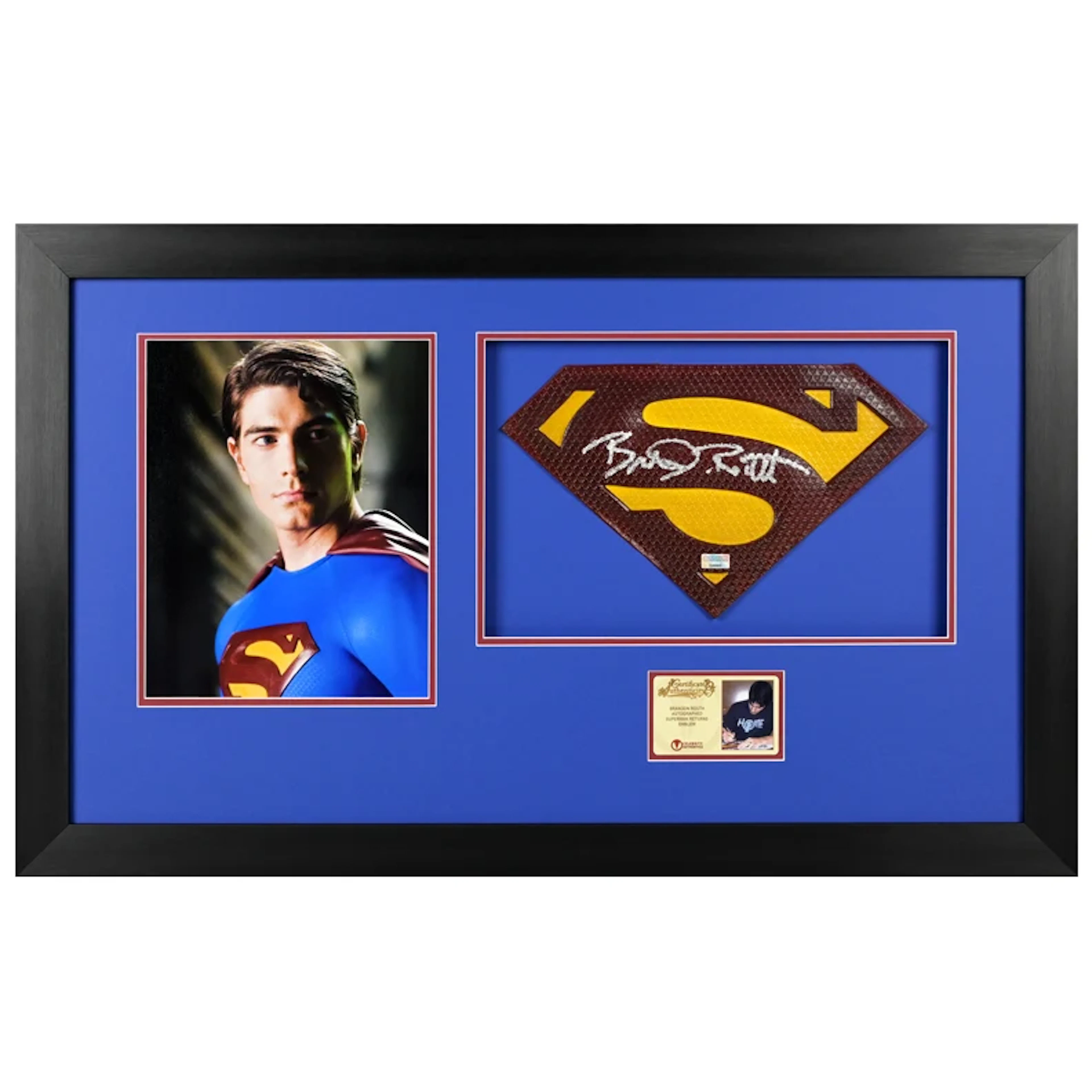 Brandon Routh Autographed 8×10 Return Regal Photo and Superman Returns