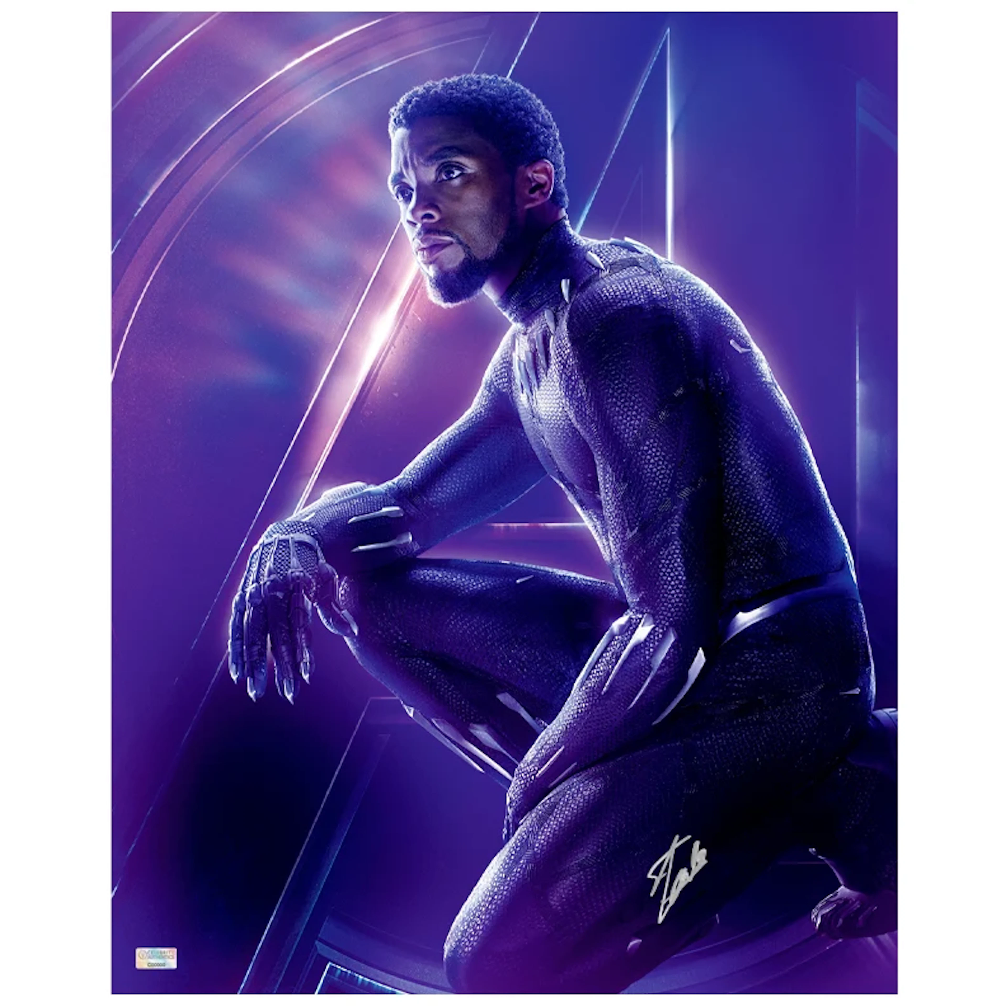 Stan Lee Autographed Avengers Infinity War Black Panther 16x20 Photo