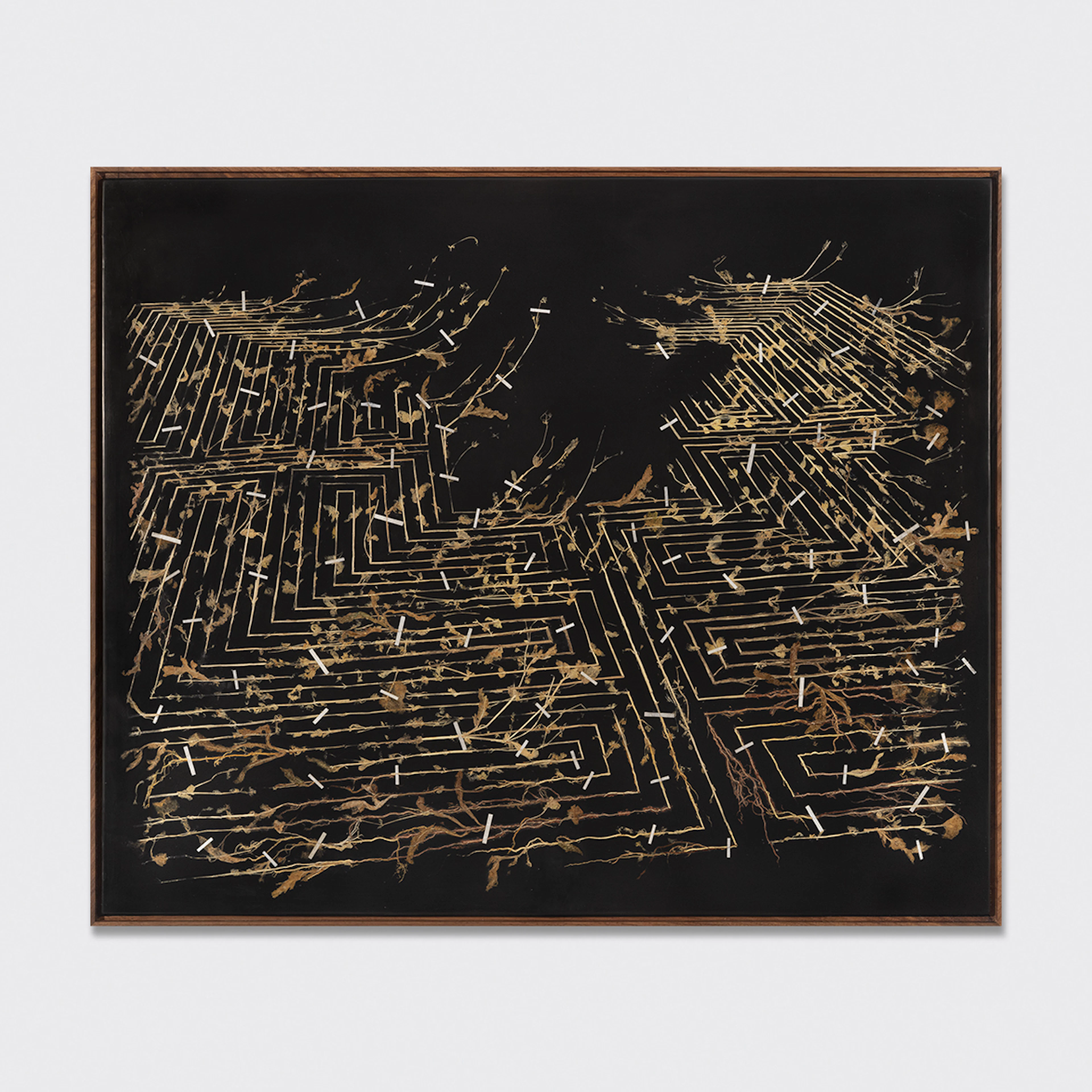 Golden Thread II, 2026 - Gerhard MARX