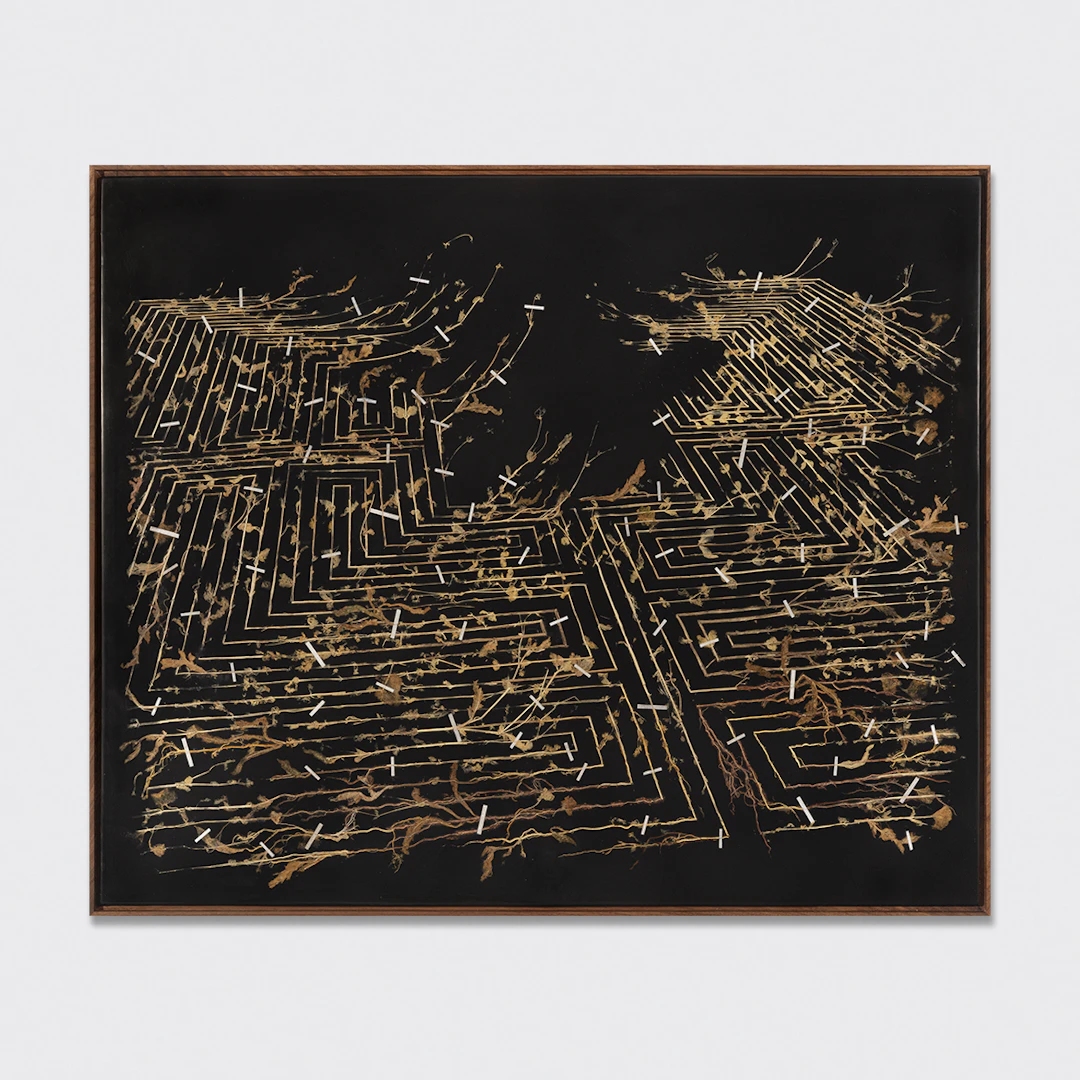 Golden Thread II, 2026 - Gerhard MARX