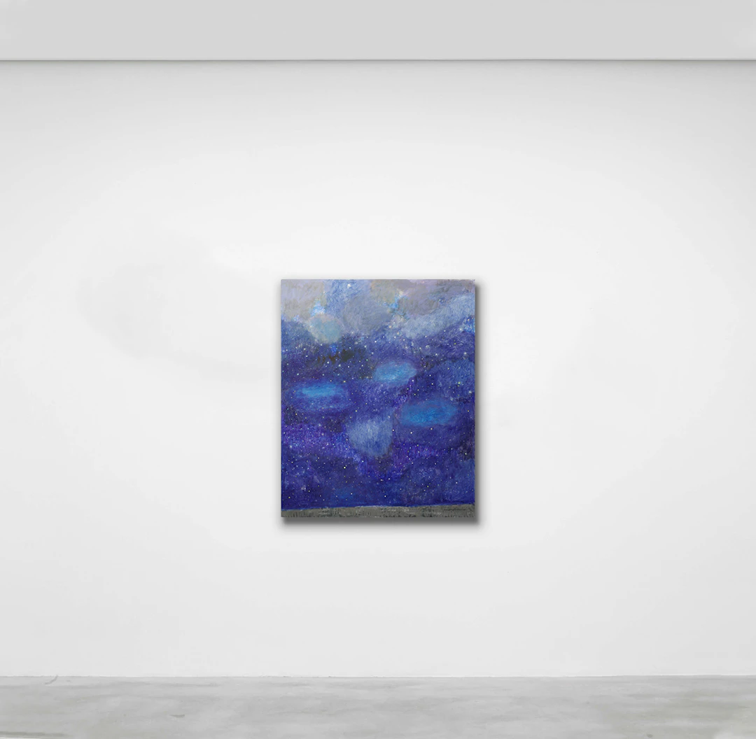 Murgia stellata, 2014 - Natale ADDAMIANO