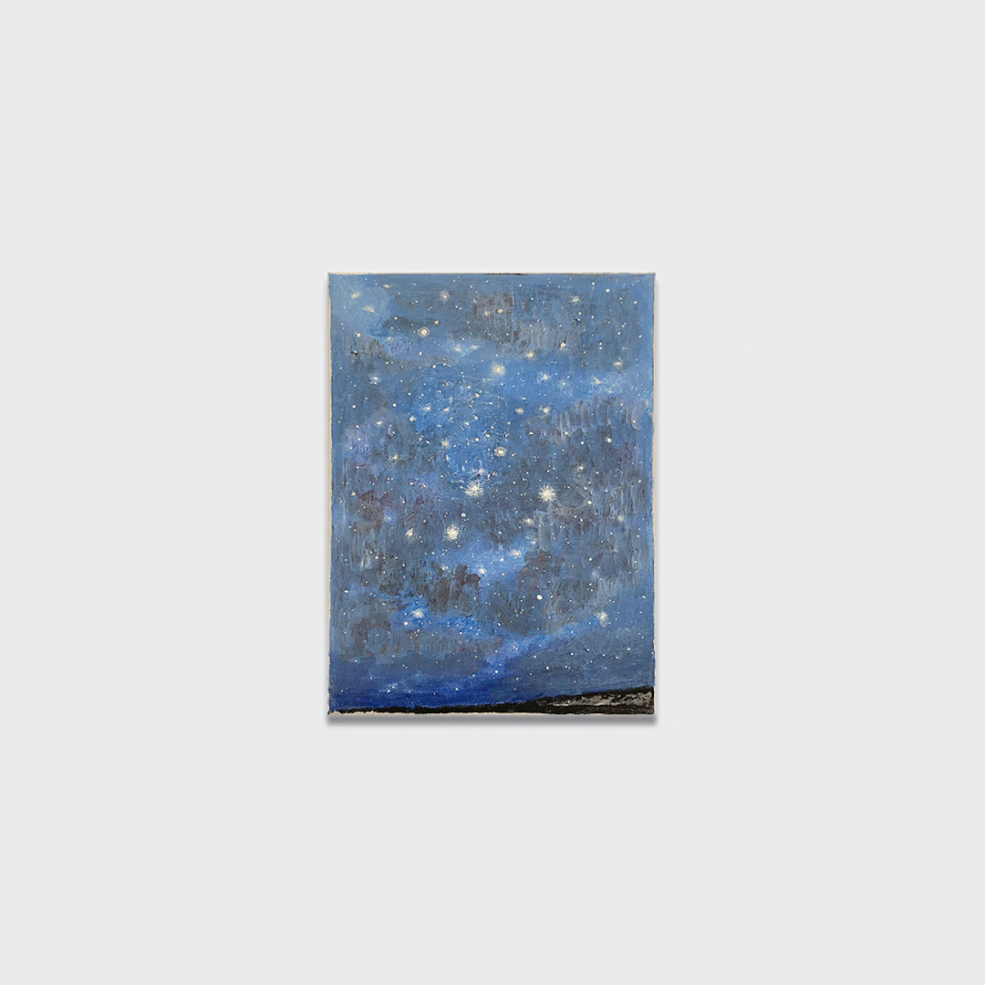 Con le stelle, 2025 - Natale ADDAMIANO