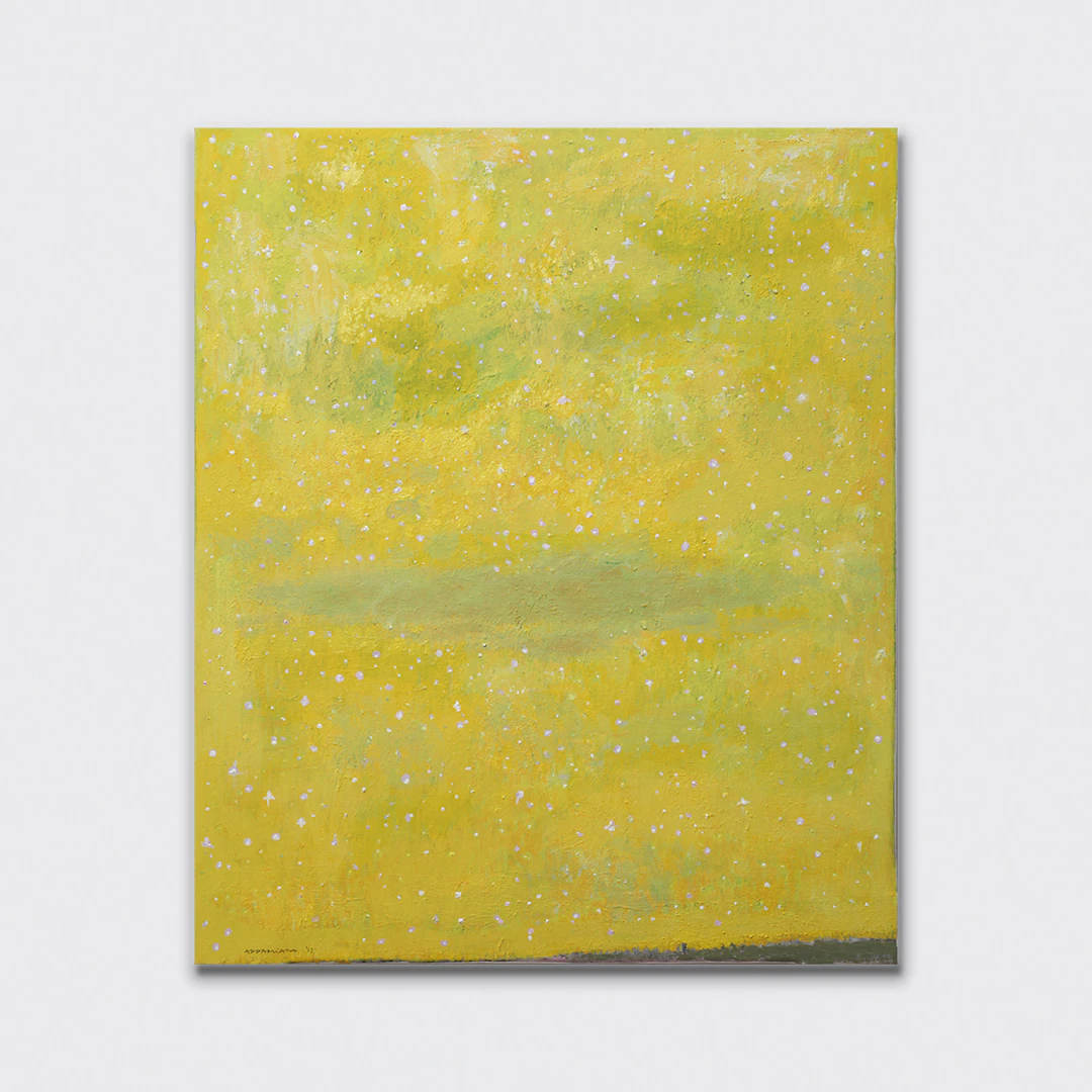 Grande cielo stellato, 2012 - Natale ADDAMIANO