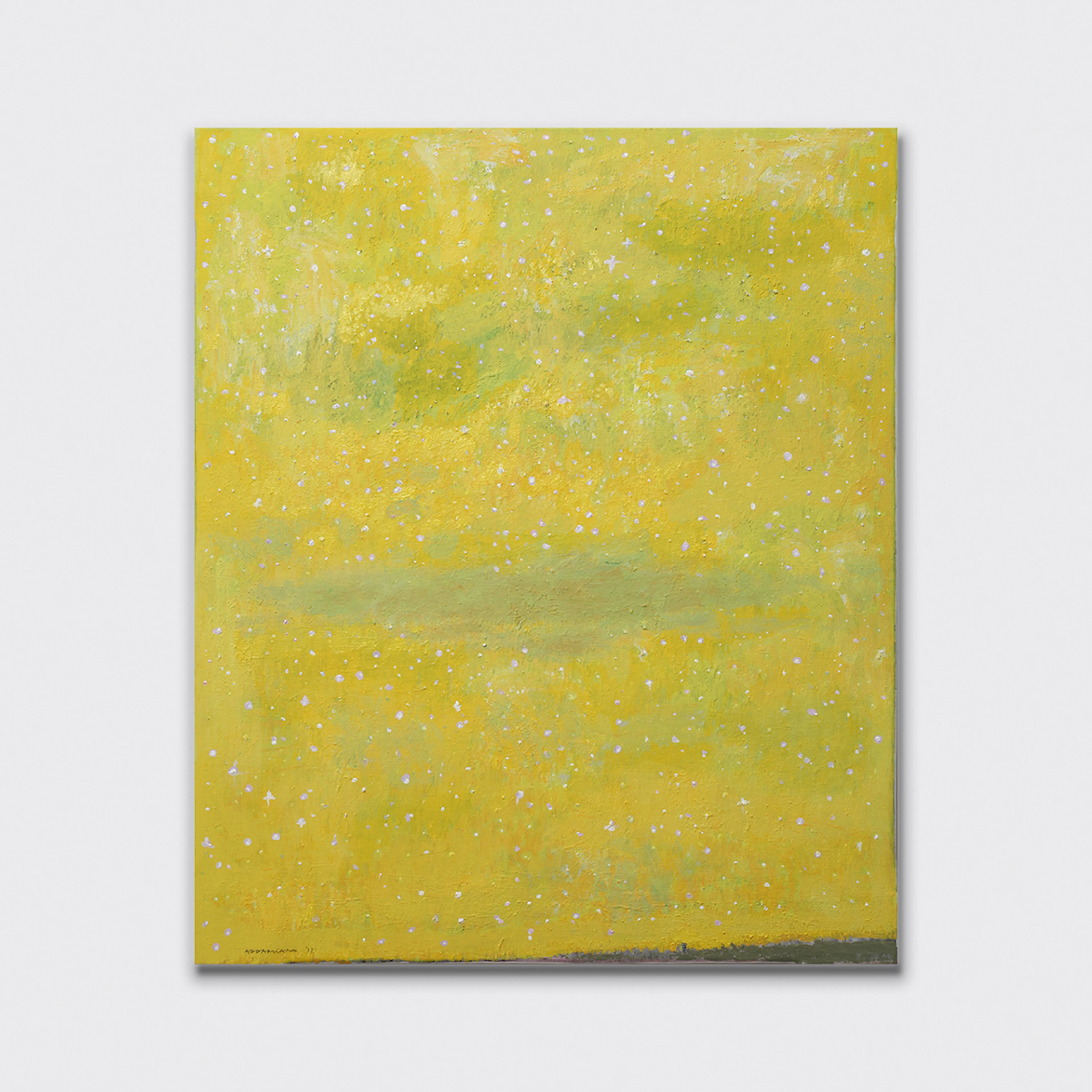 Grande cielo stellato, 2012 - Natale ADDAMIANO