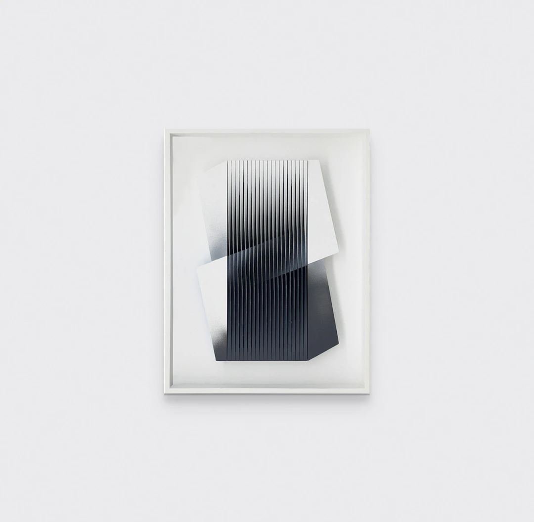 Bianco e nero abbracciati, 2014 - Alberto BIASI