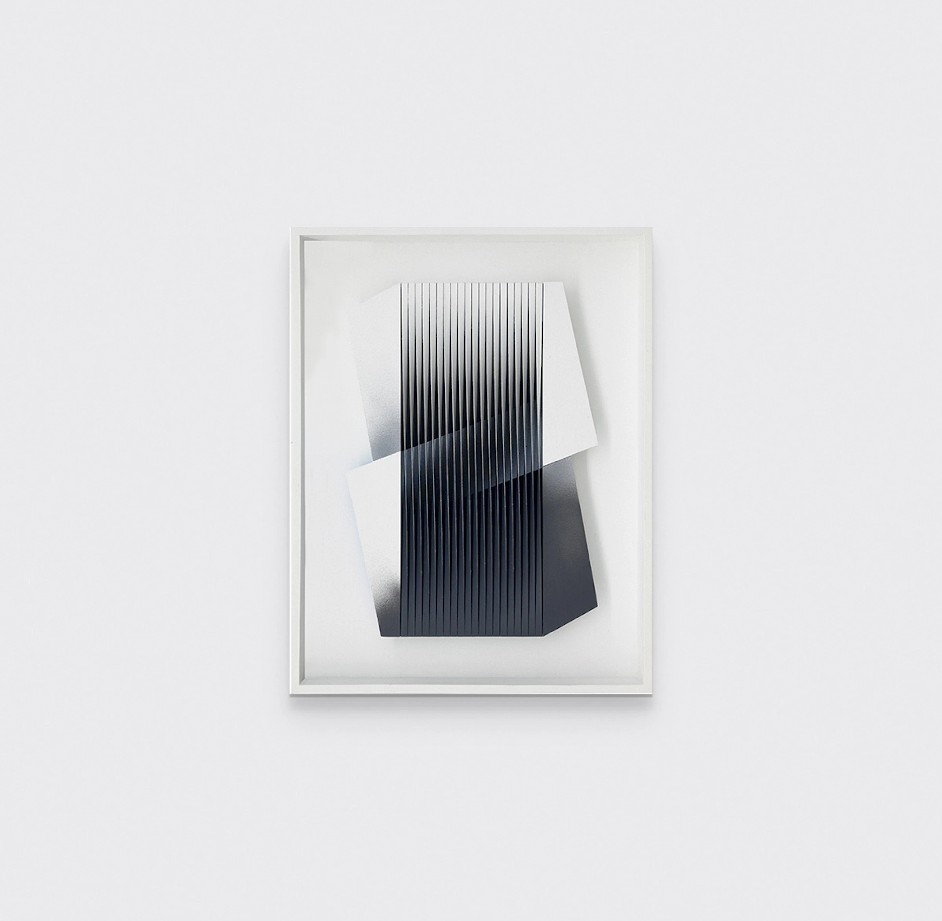 Bianco e nero abbracciati, 2014 - Alberto BIASI