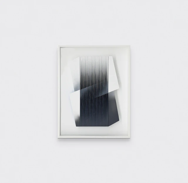 Bianco e nero abbracciati, 2014 - Alberto BIASI