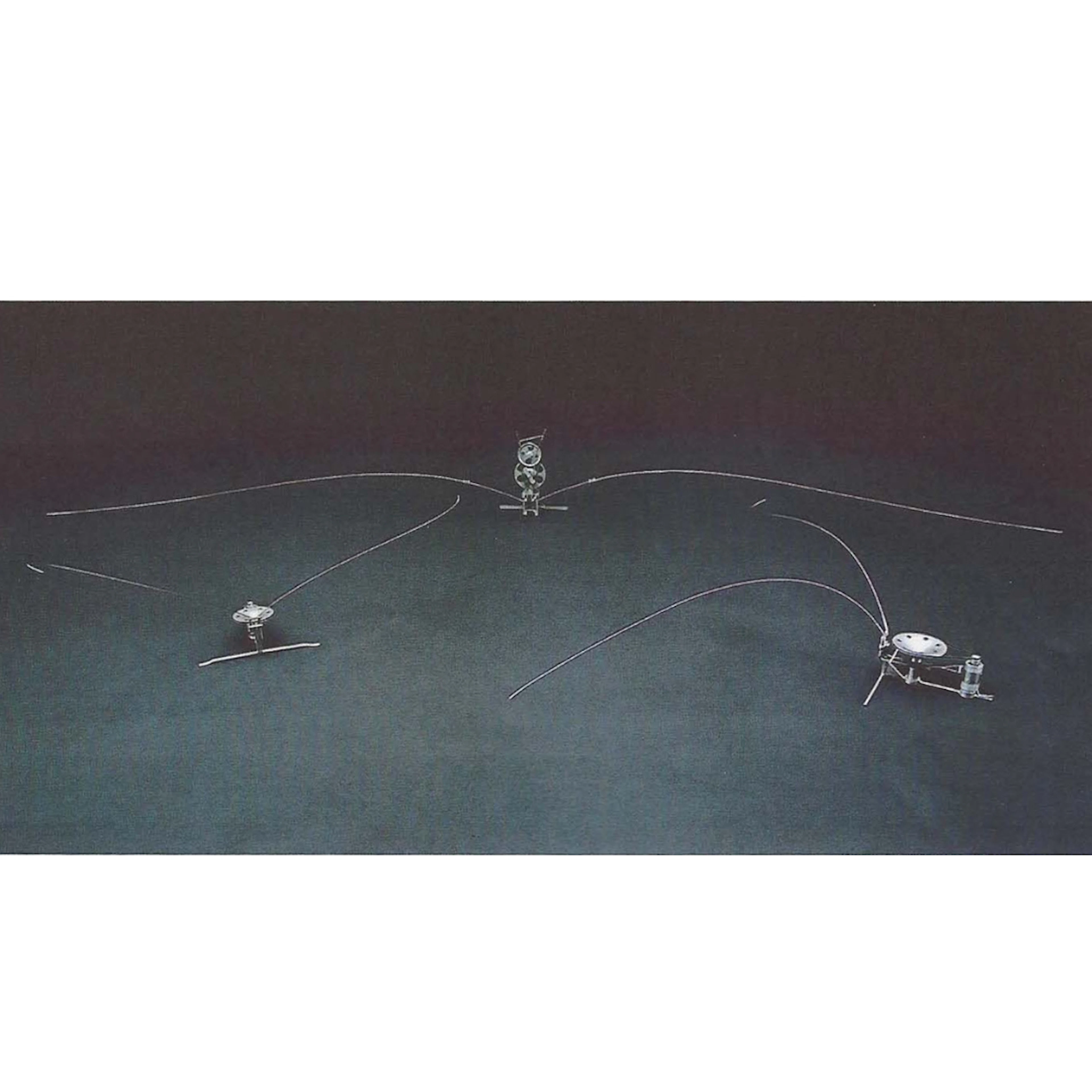 Trio di ditteri, 1995 - Piero FOGLIATI